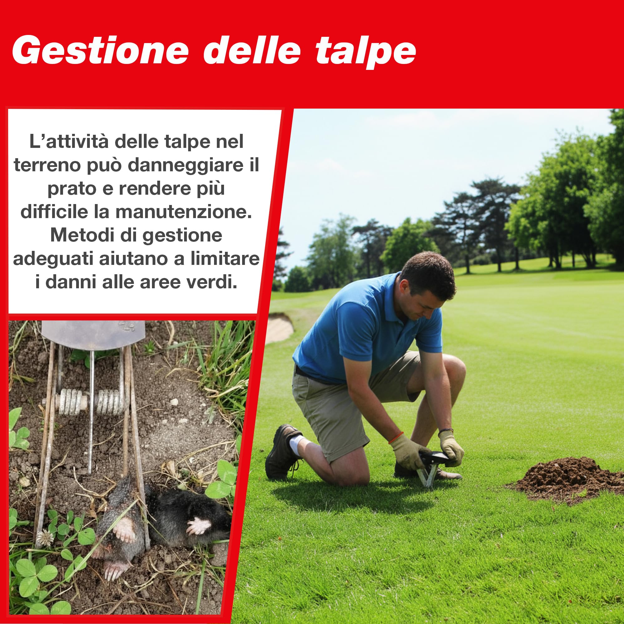 SWISSINNO SuperCat Trappola per Talpe – Trappola Professionale ad Alta Efficacia – Attivazione Precisa nel Tunnel – Riutilizzabile e Sicura – Controllo Talpe per Giardino - 1 pezzo