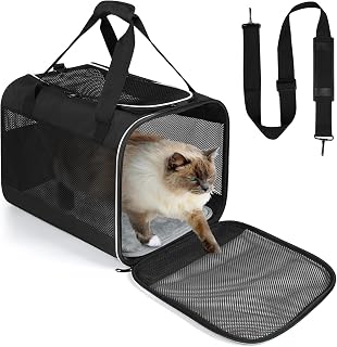 Lannvan Mascotas