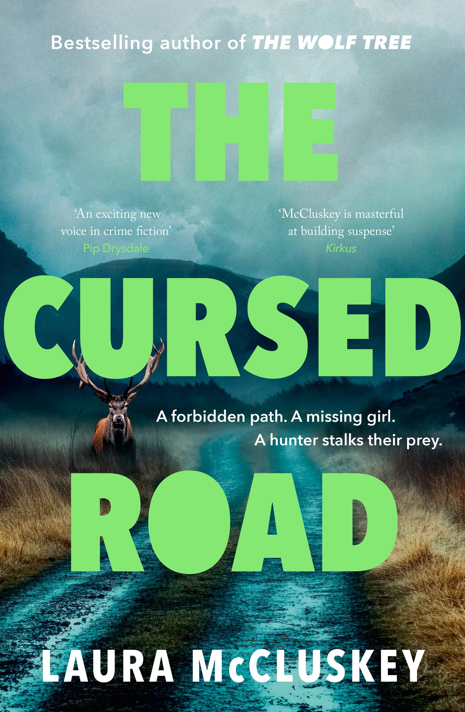 The Cursed Road: A gripping and atmospheric new detective crime thriller set in the Scottish Highlands