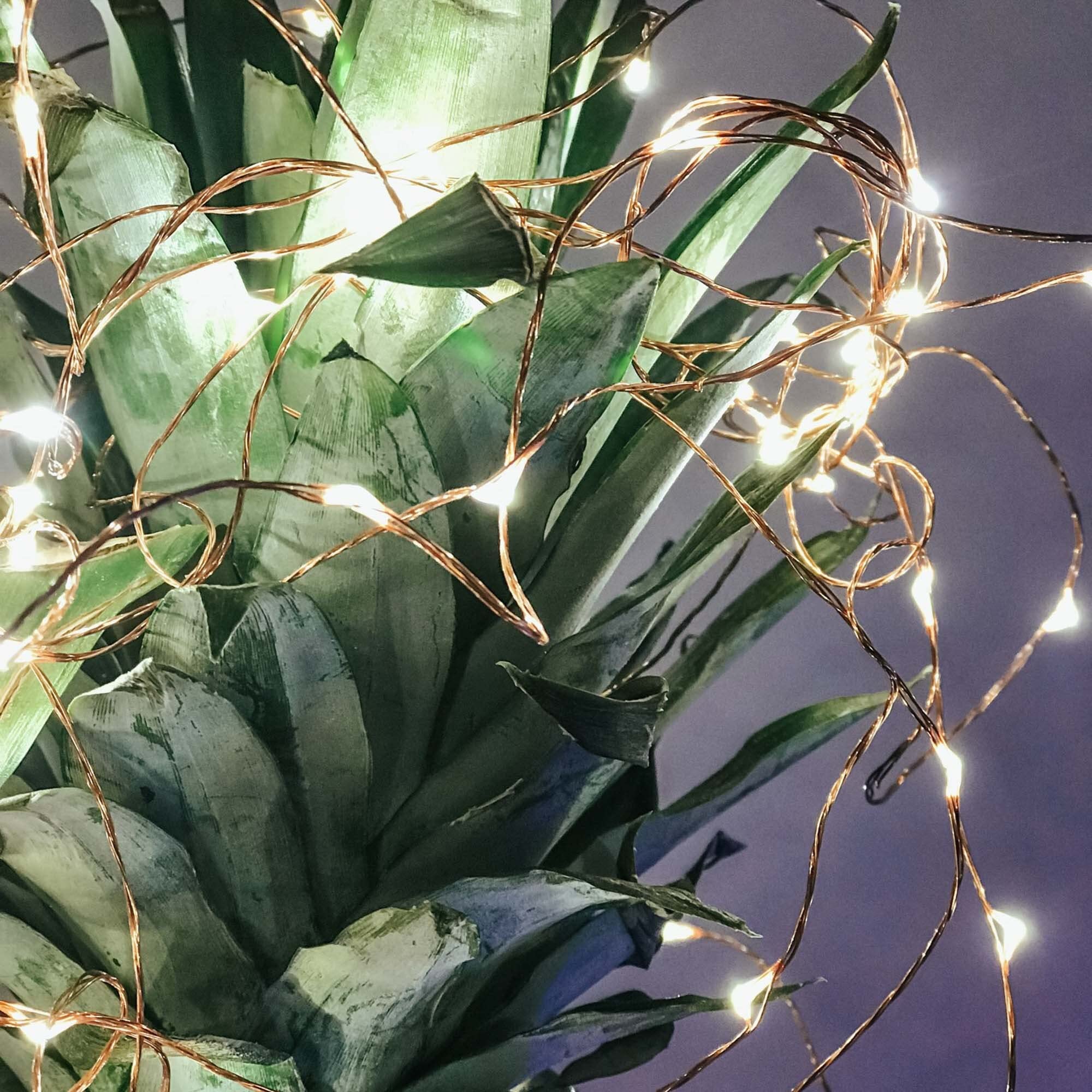 hellum LED Lichterkette außen Bernstein, Timer, Trafo, 59,80m beleuchtet | Lichterkette bernsteinfarben mit 300 LED, Kupferkabel mit Aufrollhilfe, für Hochzeit, Garten, Party, Weihnachten <59lm 578904