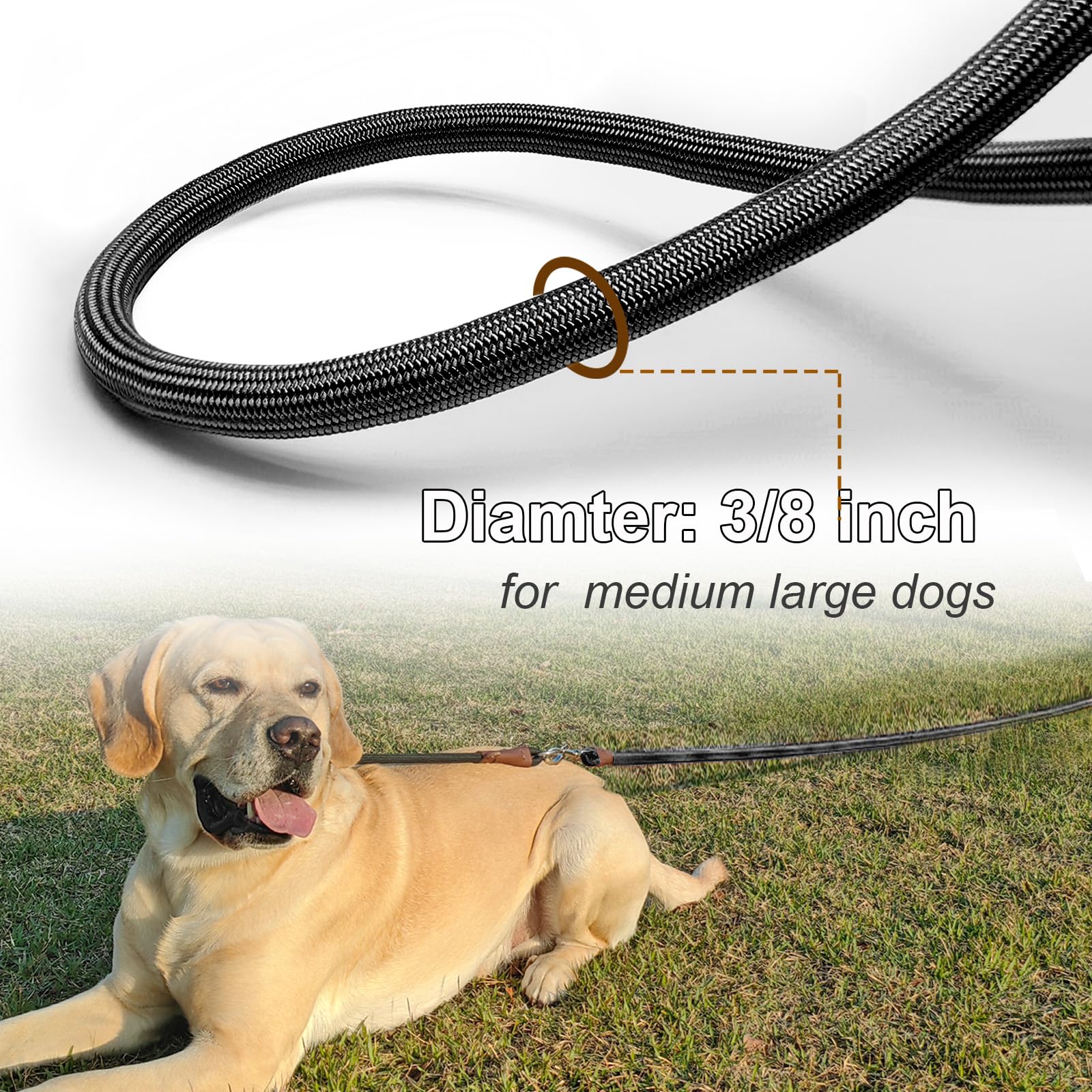 SEPXUFORE Tie Out Rope Dog Leash - Image 2