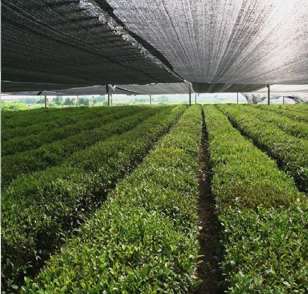 Plastic Sunshade Net 3 X 20 Meter 90% Shading Rate Tunnel Plant Row Cover As Garden Flower Greenhouse Shade and Swimming Pool Net-image-25