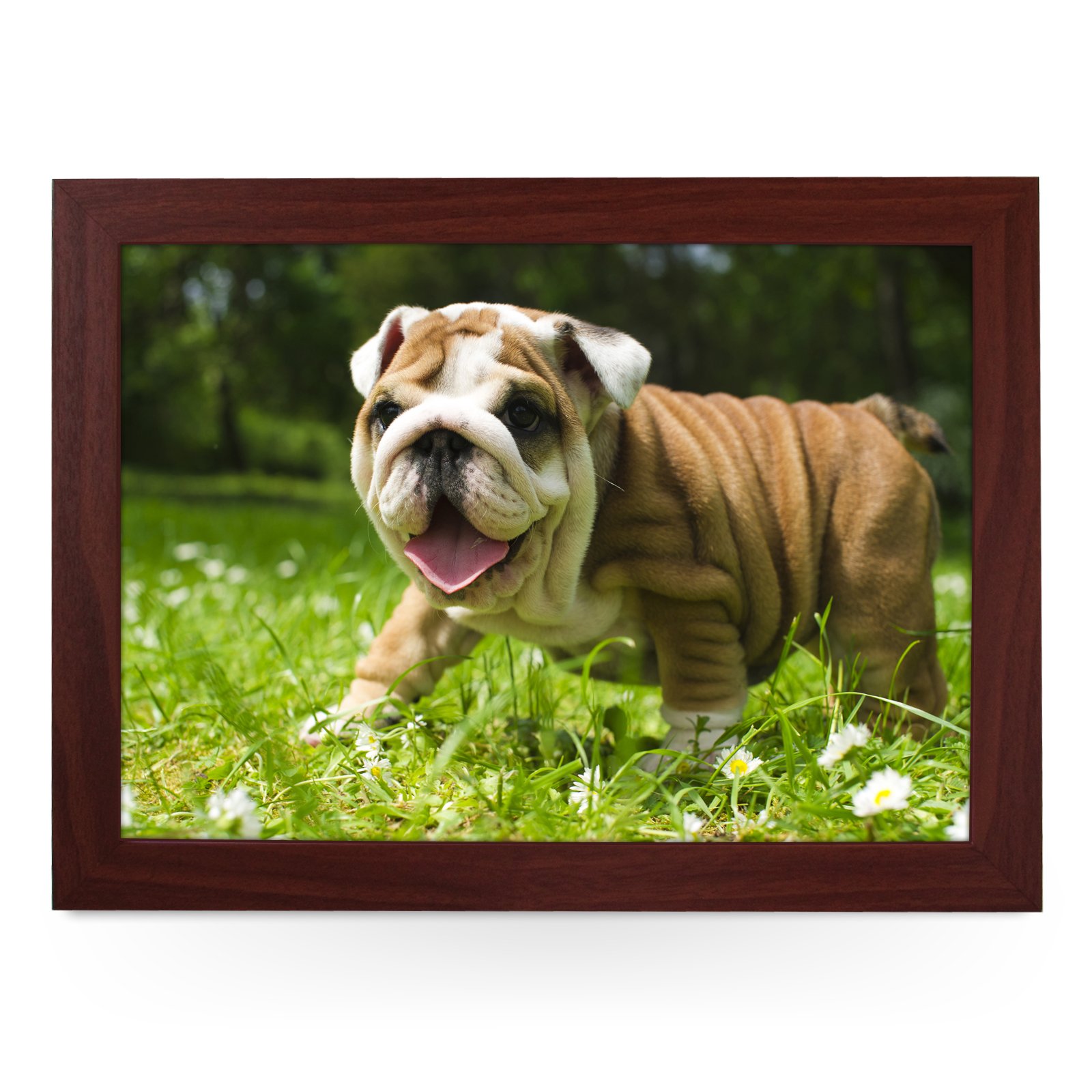 Portable Lap Desk Tray (English Bulldog Puppy) Handmade Wooden Frame, Beanbag Cushioned Bottom | Computers, Laptops, Meals, Food | L0142 Brown