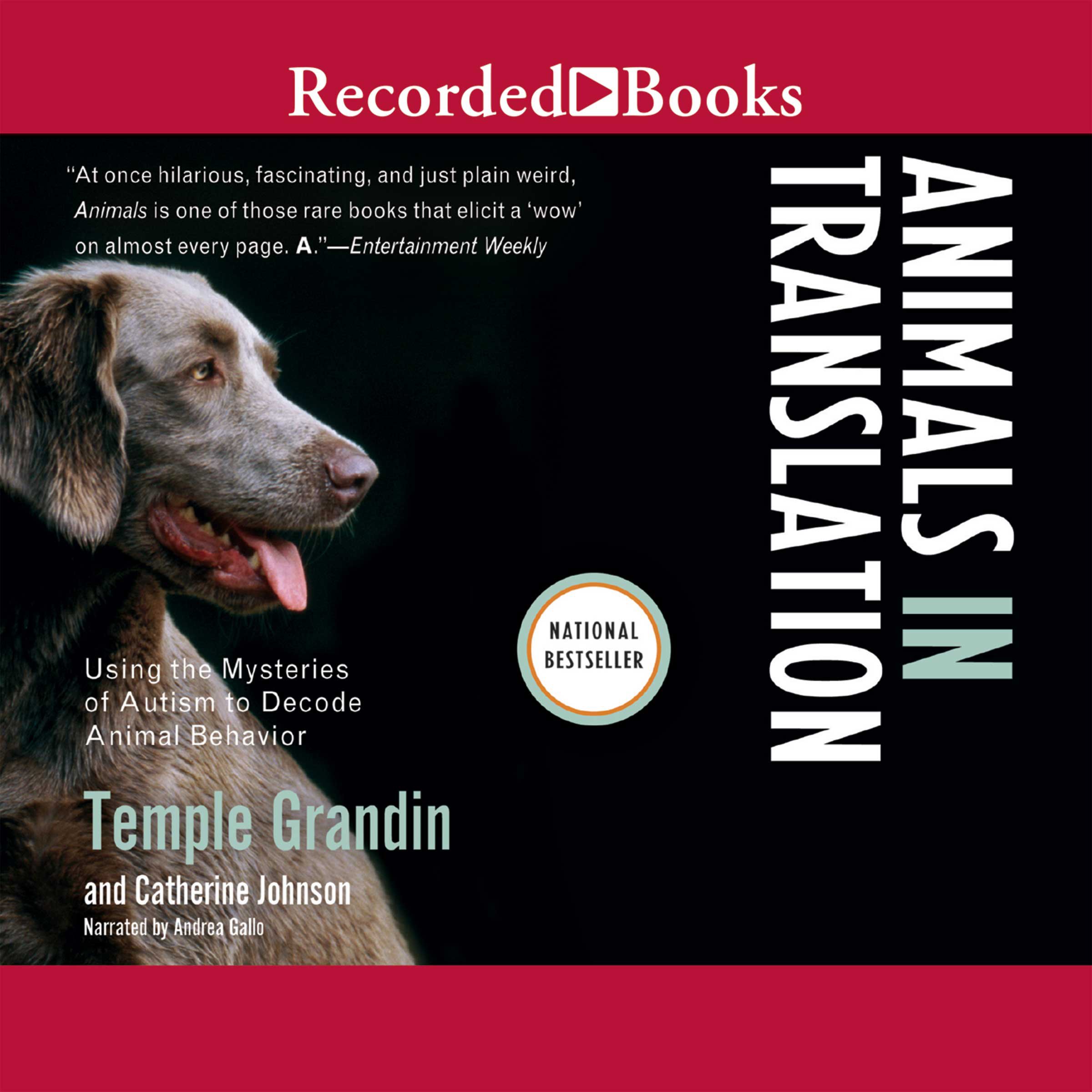 Cover art for Animals in Translation