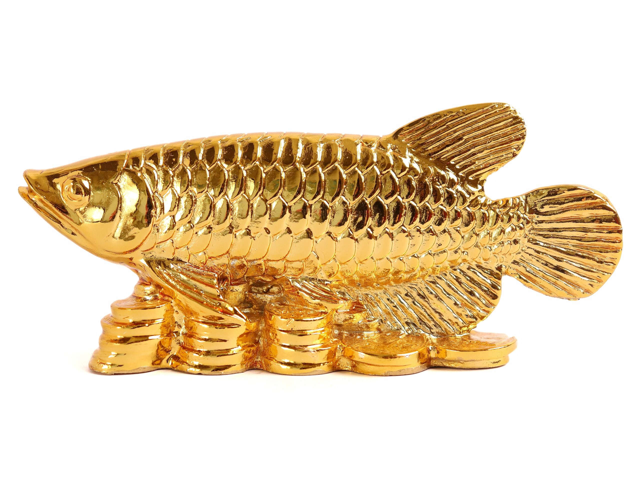 Arowana Fish Statue II Feng Shui Fish II Strong Wealth Symbol II 5.5 Inch II Prosperity Wealth Symbol II Vastu Products II Home & Office