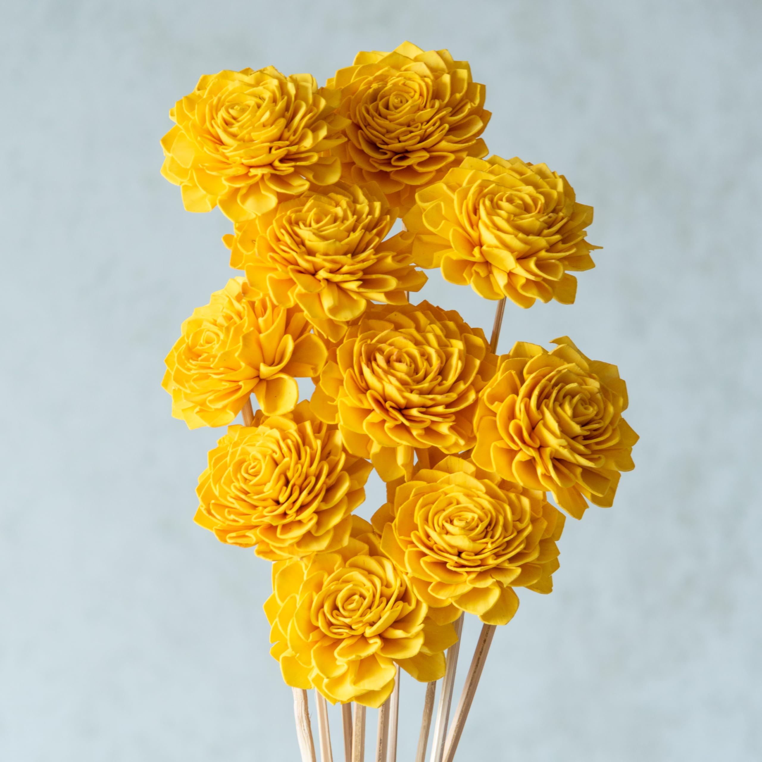 Flowers and Fillers Yellow Sola Bingo Flower Sticks (10 Sticks) | Natural Dried Flower | Eco-Friendly Home, Office, Bedroom, Table Decoration and Craft Items Corner