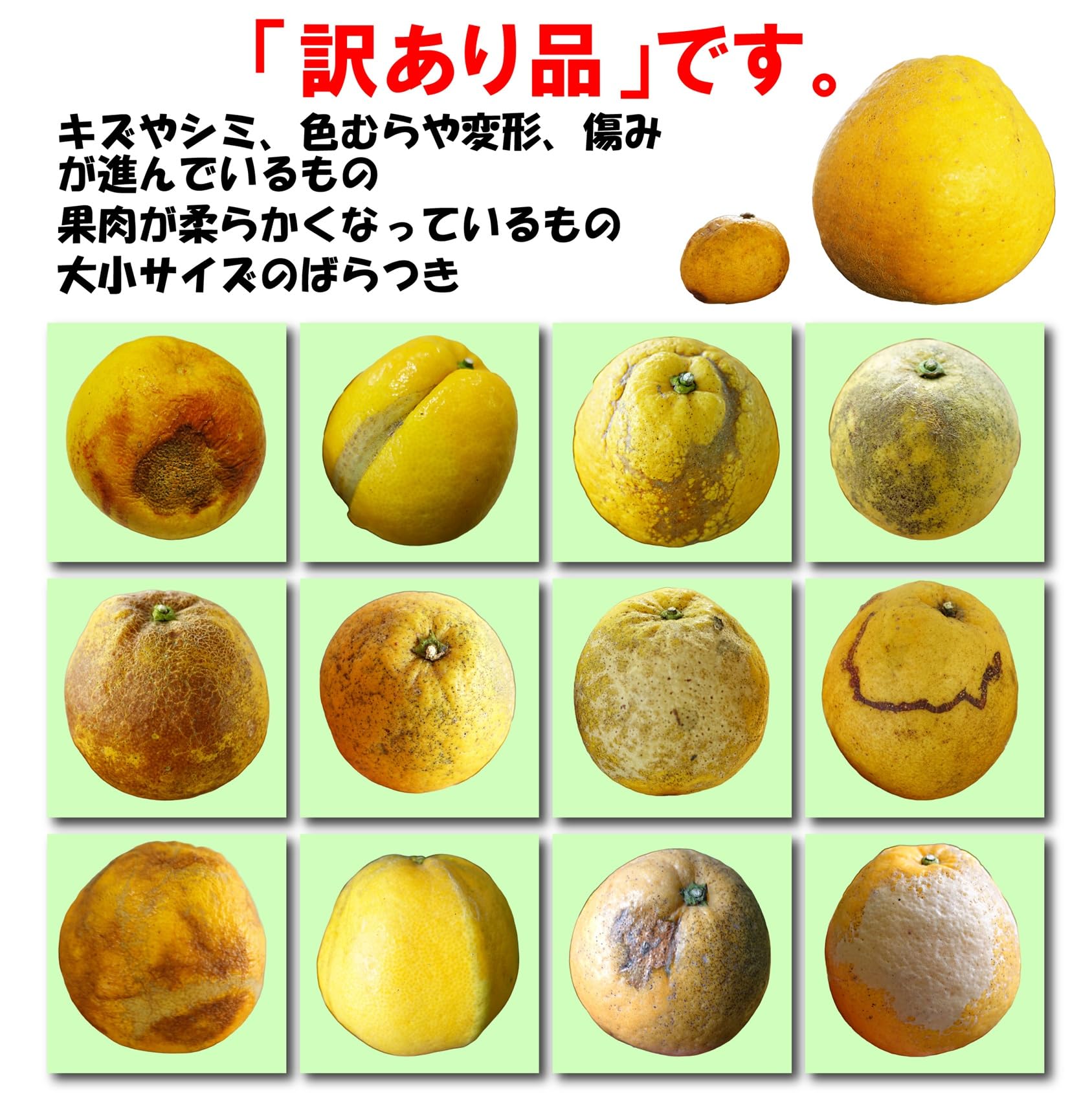 Amazon.co.jp: 【愛媛県産】訳あり 不揃い 河内晩柑10kg 柑橘