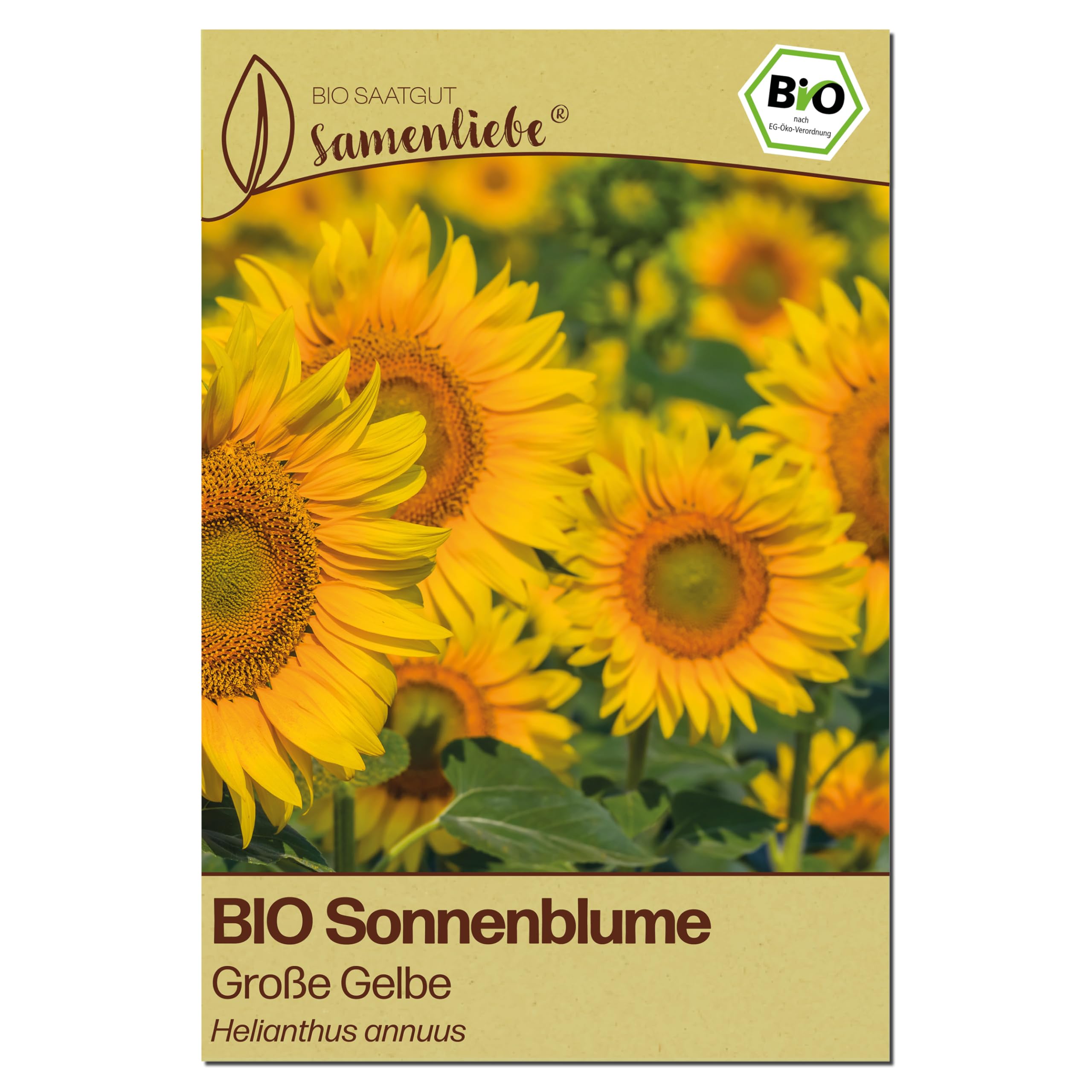 Samenliebe BIO Sonnenblumen Samen | XL Sonnenblume - große Blüten & hochwachsend - samenfestes BIO Saatgut