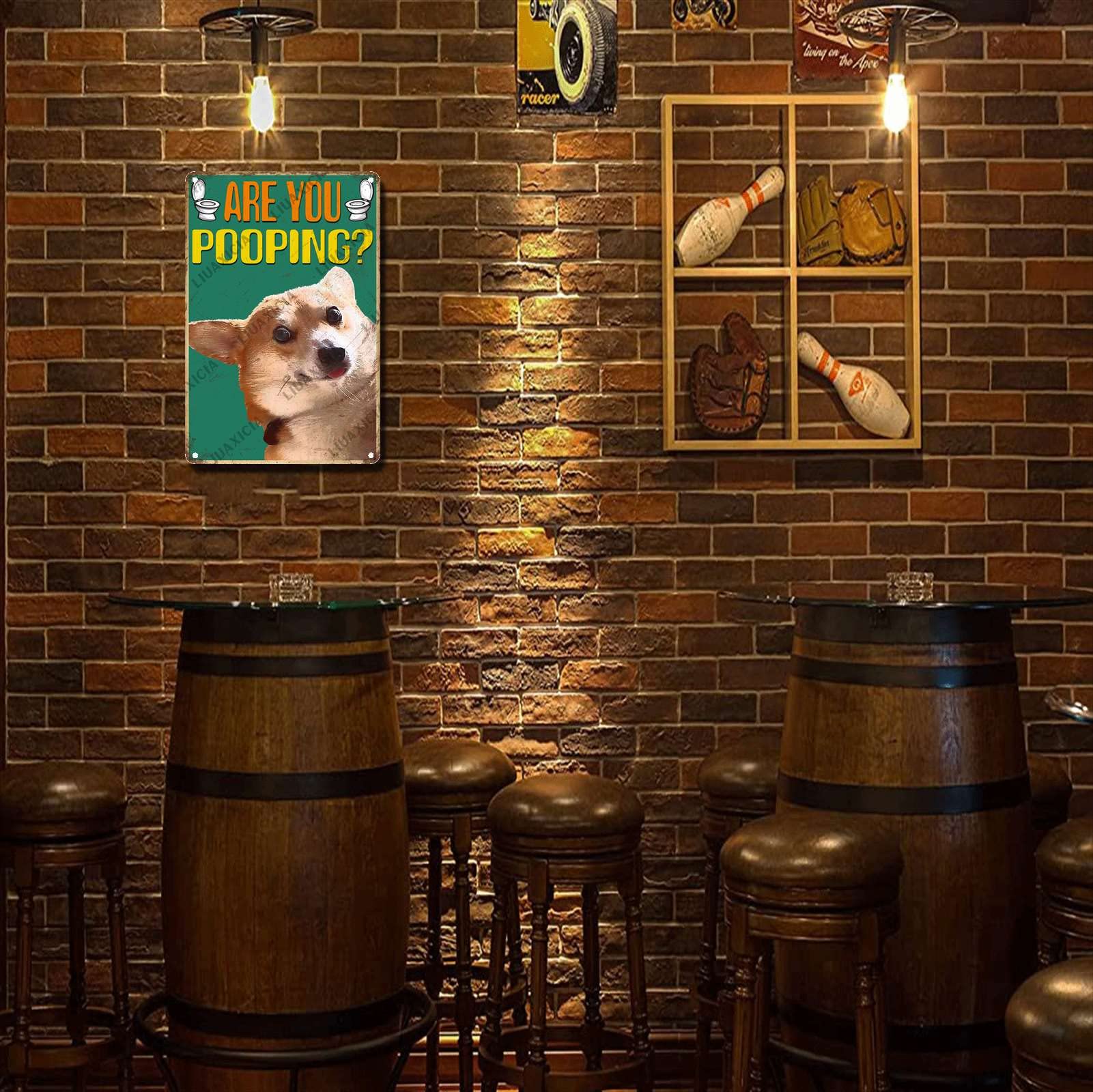 Letreros De Metal Con Texto En Inglés "Are You Pooping Corgi