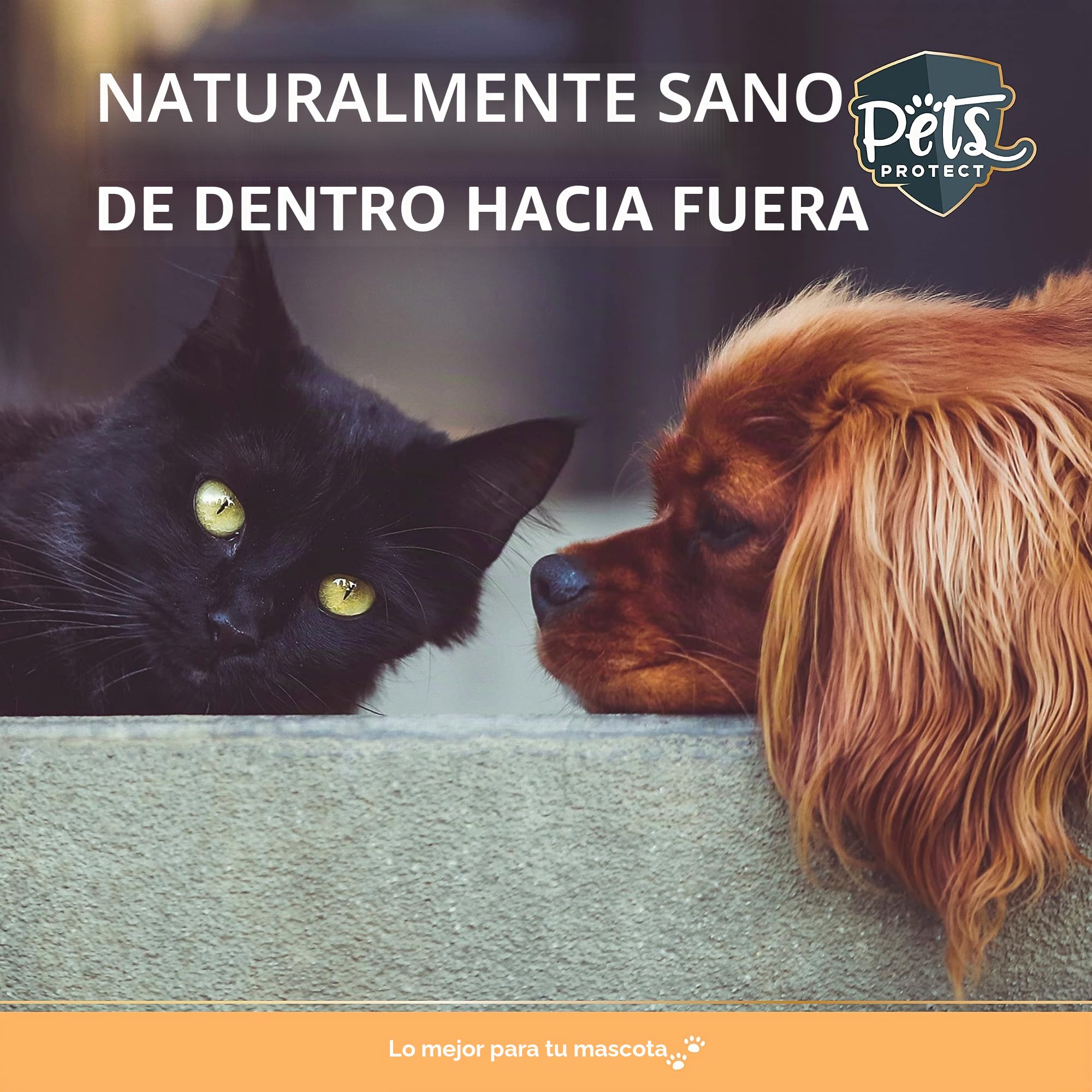 Omega-3 Cápsulas para perros y gatos | Alta dosis con 1.000 mg de aceite de pescado puro por cápsula | muy alto contenido de ácidos grasos EPA y DHA, sin PCB, sin aditivos, 120 cápsulas, fabricación