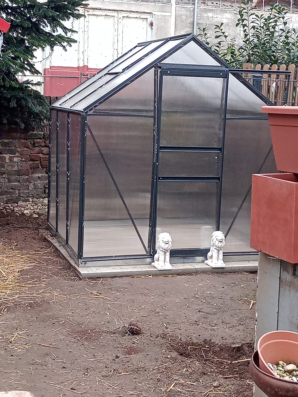 GLAS GEWÄCHSHAUS MIT Stahl Fundament Alu Treibhaus Tomatenhaus
