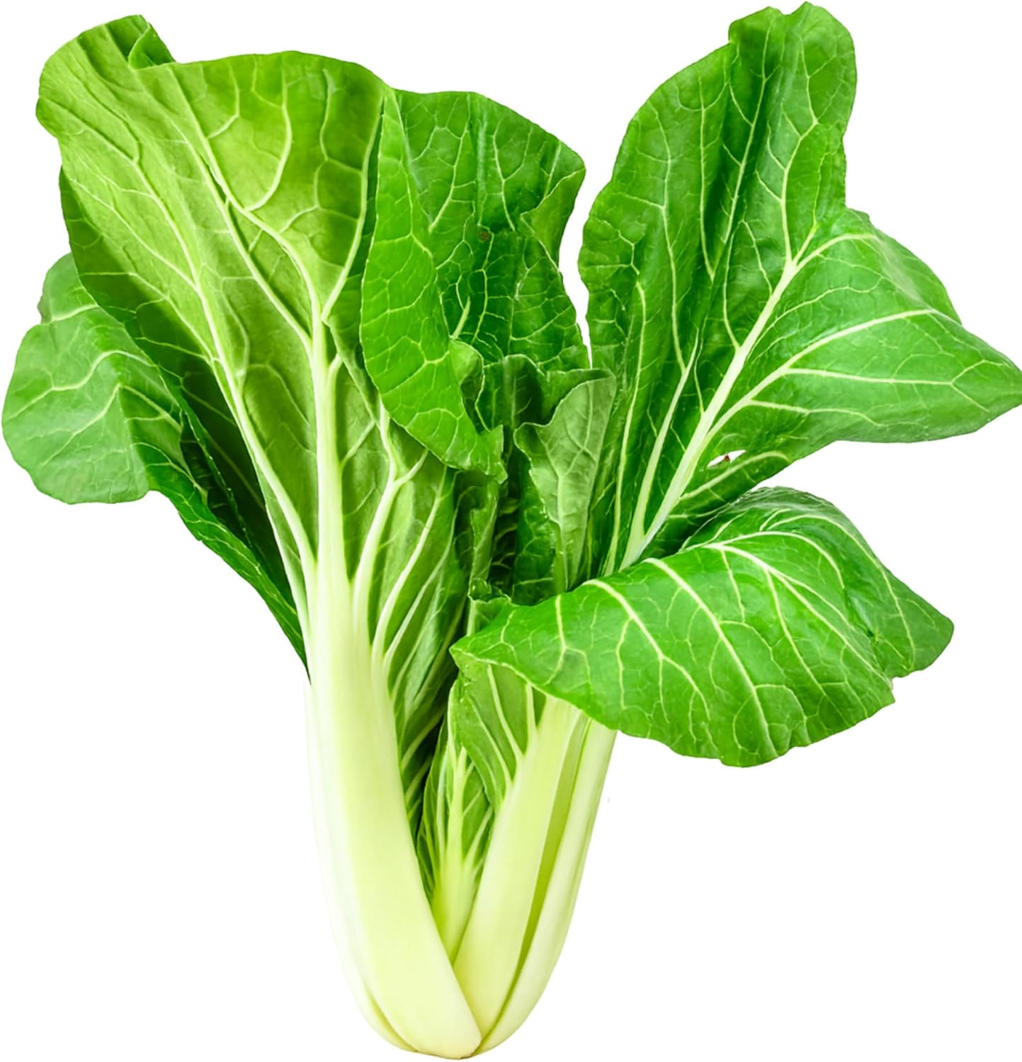 Greens Seedlings: Ready-to-Plant Seedlings, Starts, Plugs, Garden-Ready, Live Plants, Transplants, Pre-sprouted, for Soil & Hydroponic Gardens (6 seedings)