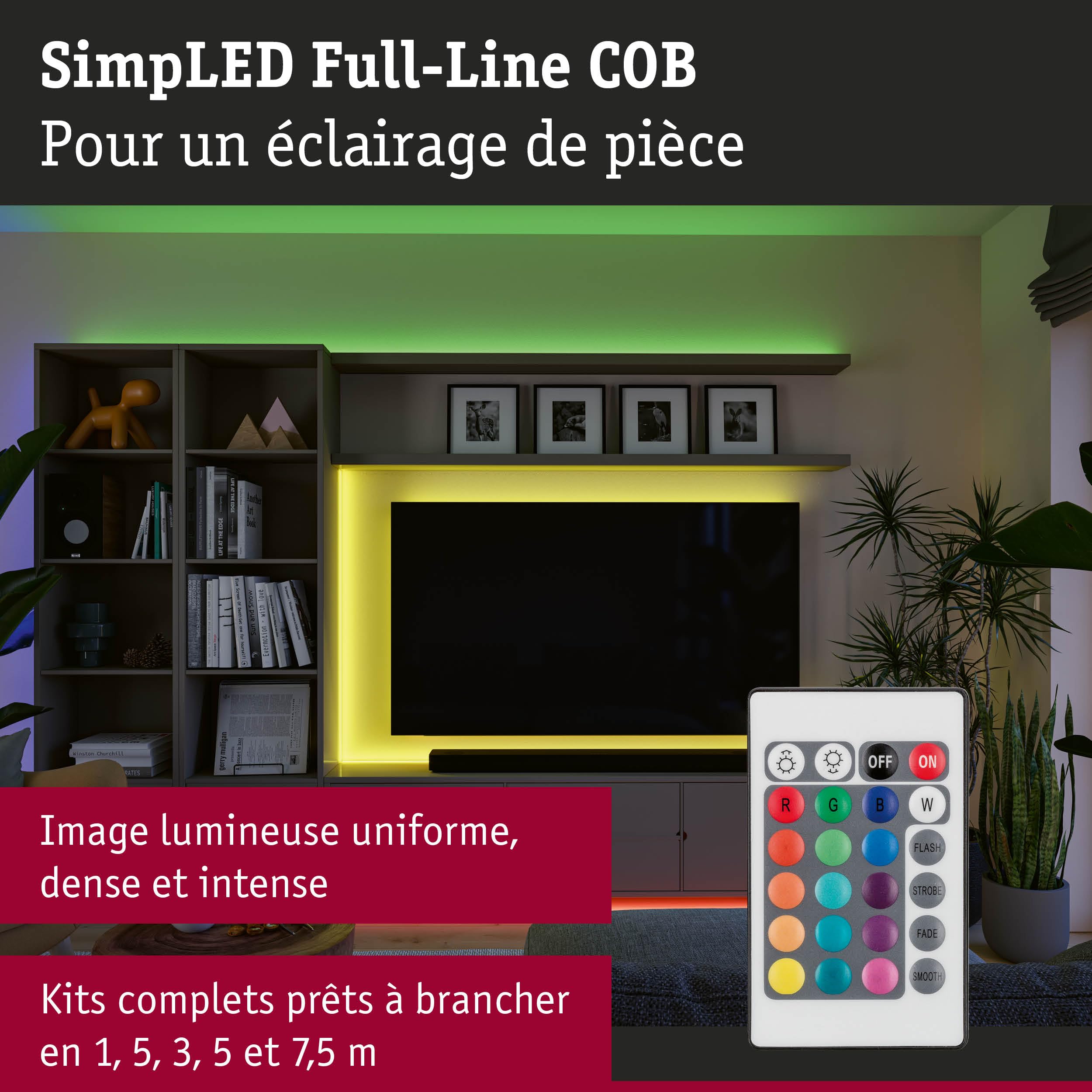 Paulmann SimpLED LED Stripe Full-Line COB kits complets 5m 14,5W 140lm/m 840 LEDs/m RGB 24VA 79569