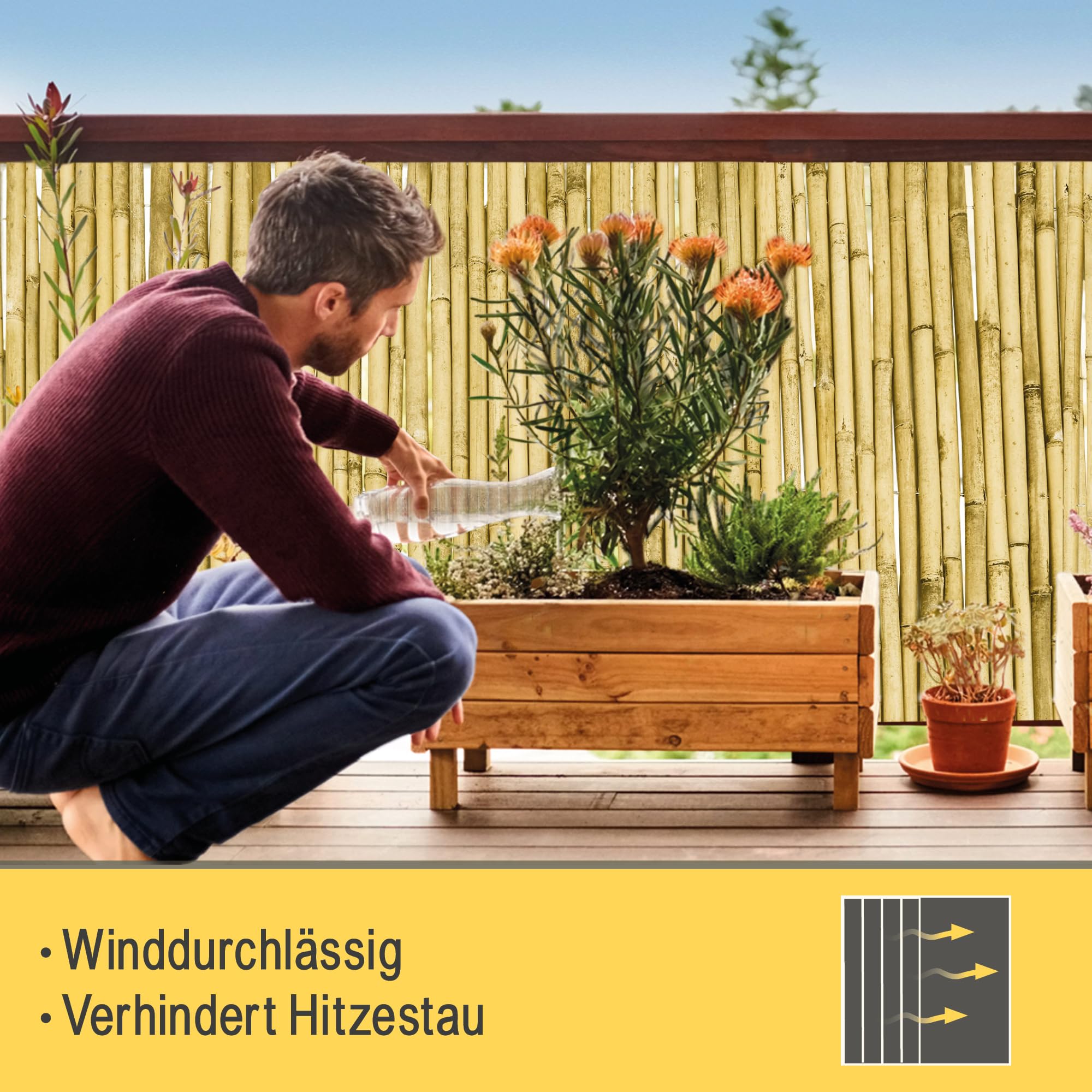 Sol Royal Hell Glänzend Premium Bambus Sichtschutz 160 hoch – Hochwertig Bambusrohre Ø2-3cm Witterungsbeständig – Bambuszaun Gartensichtschutz Balkon Sichtschutz Bambus Sichtschutzzaun 160x250cm – B99