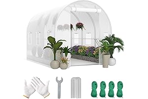 Kaen Walk-in Greenhouse: Lush Oasis for Your Floriculture