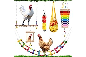 Indulge Your Chickens: 7 Essential Playthings for Coop Entertainment