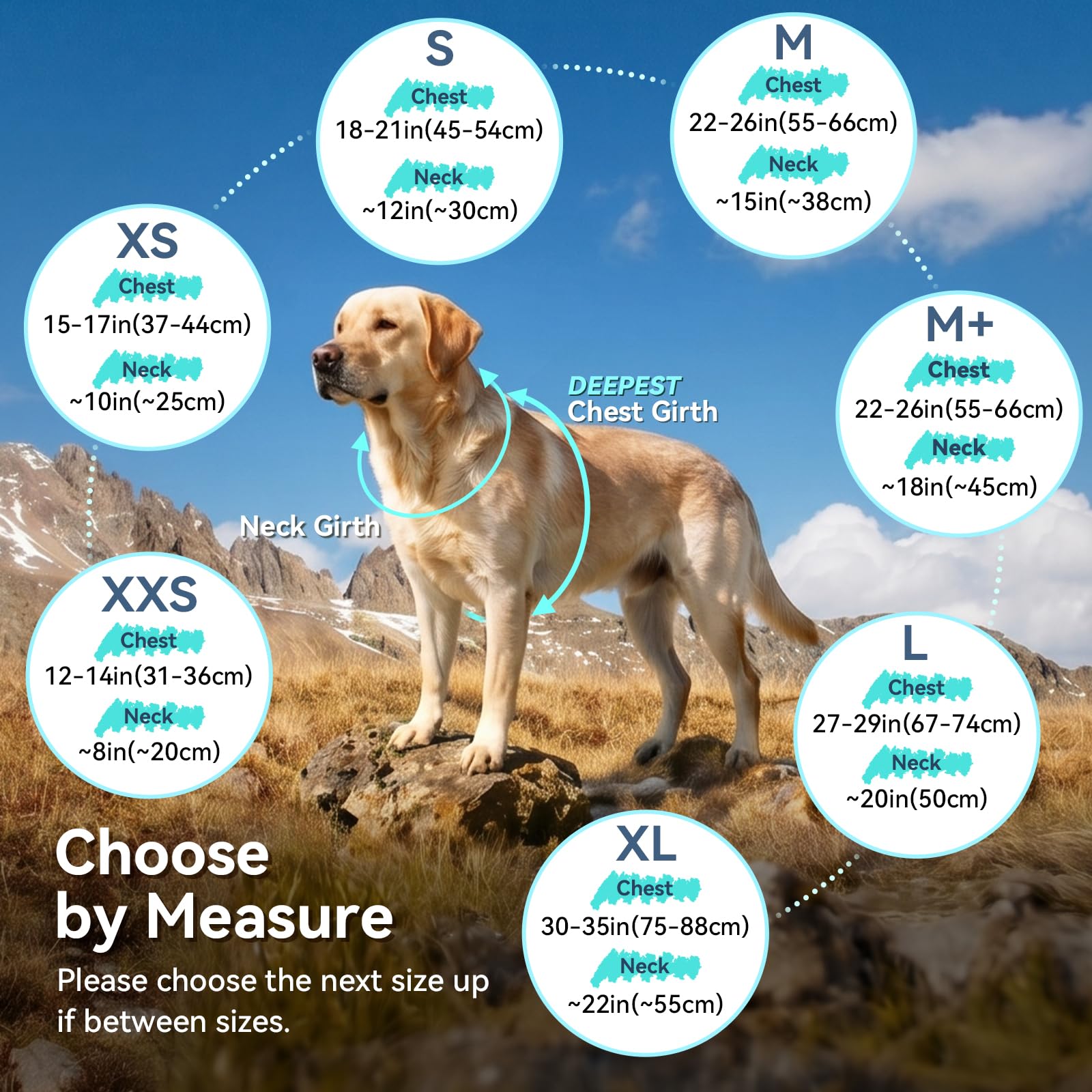 VIVAGLORY Gilet en Polaire pour Chien, Pull Chaud pour Temps Froid, Vêtements d’Hiver Ajustables, Manteau Réfléchissant, Petite Taille, Turquoise