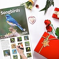 Vista 6 de Calendario de pared 2026, Calendario 2026, noviembre 2025 - diciembre 2026, calendario de pared de pájaros cantantes, 12 x 24 pulgadas abierto