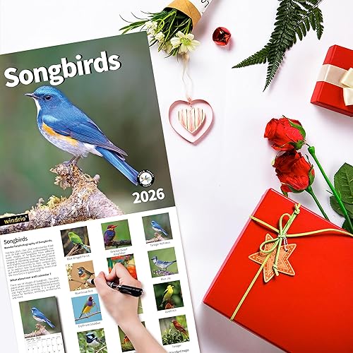 Miniatura 6 de Calendario de pared 2026, calendario 2026, noviembre de 2025 a diciembre de 2026, calendario de pared con pájaros cantores, 12 x 24 pulgadas