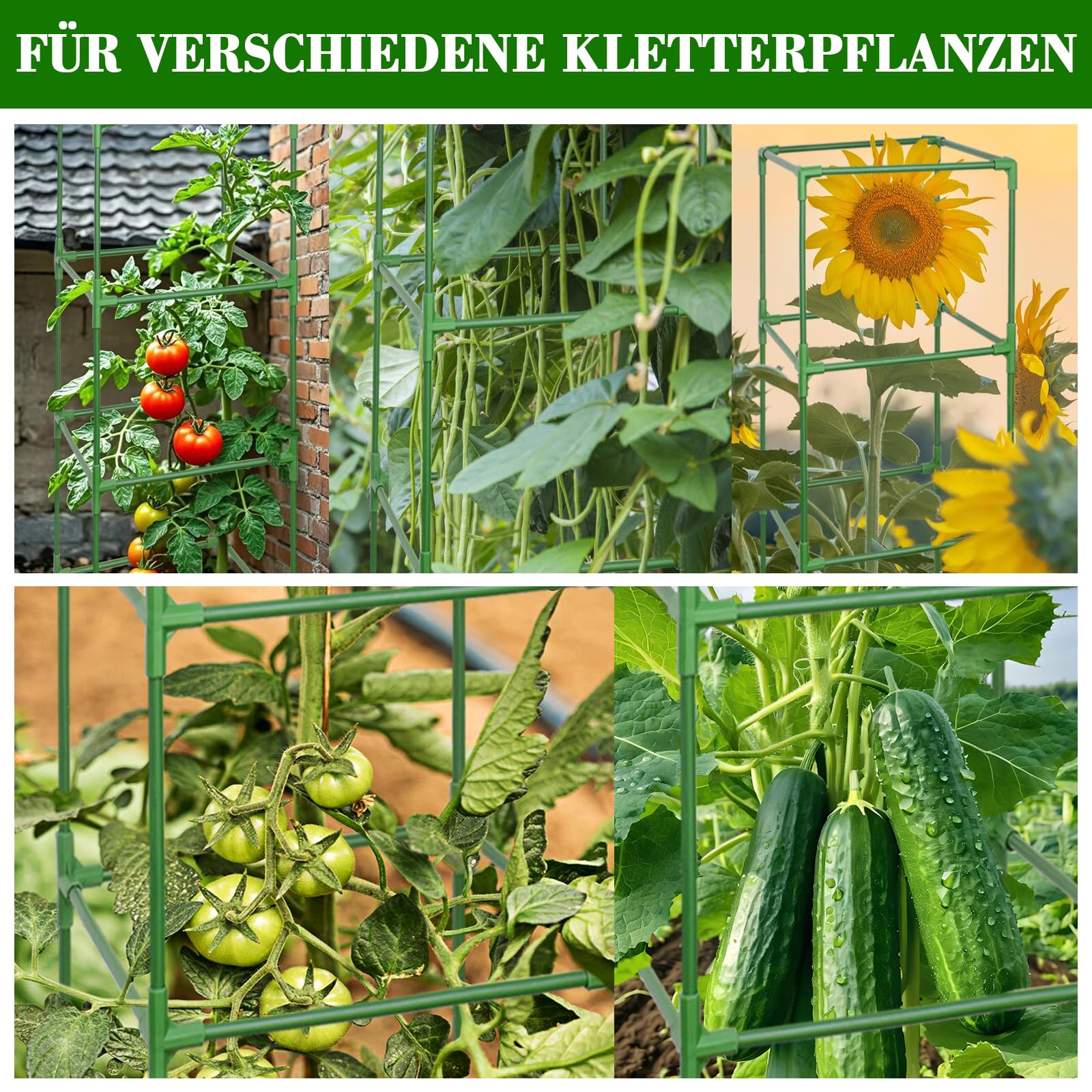 ZeeDix 6 Stück Tomaten Rankhilfe, 151cm Höhenverstellbare Rankhilfe