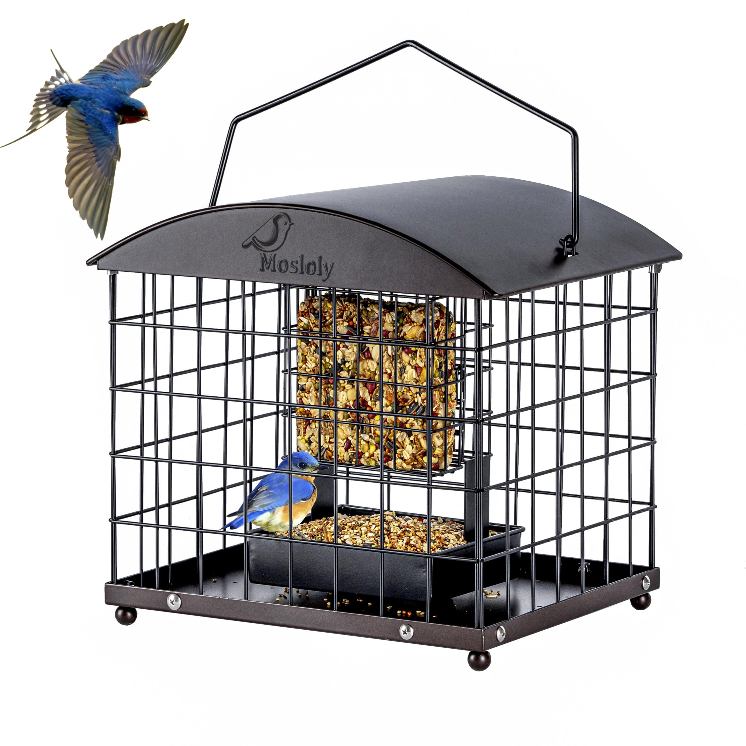 Mosloly Caged Suet and Seed Feeder