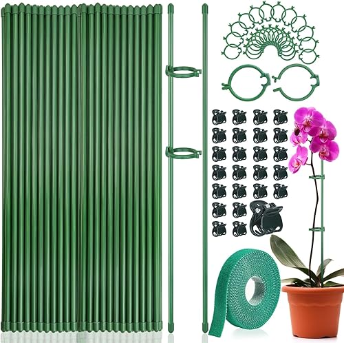 Miniatura 1 de Tetutor Paquete de 25 estacas para plantas, estacas ajustables de soporte para plantas de un solo tallo, soporte de varillas para plantas de jardín