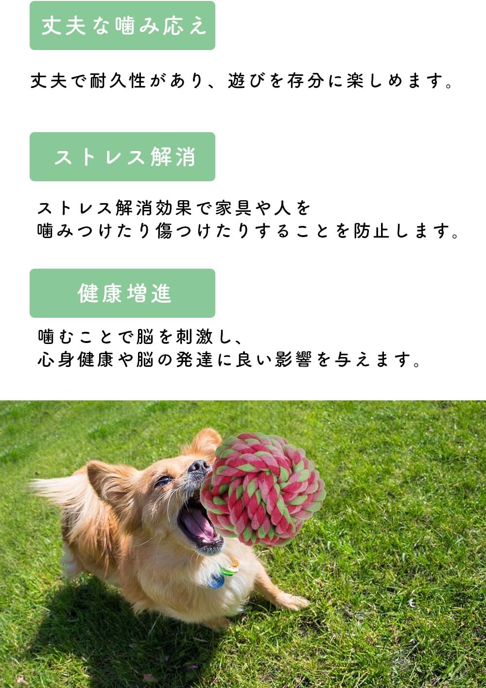 犬 おもちゃ コットン 安心 天然素材 縄 ロープ 丈夫 小型犬 歯磨き 安全