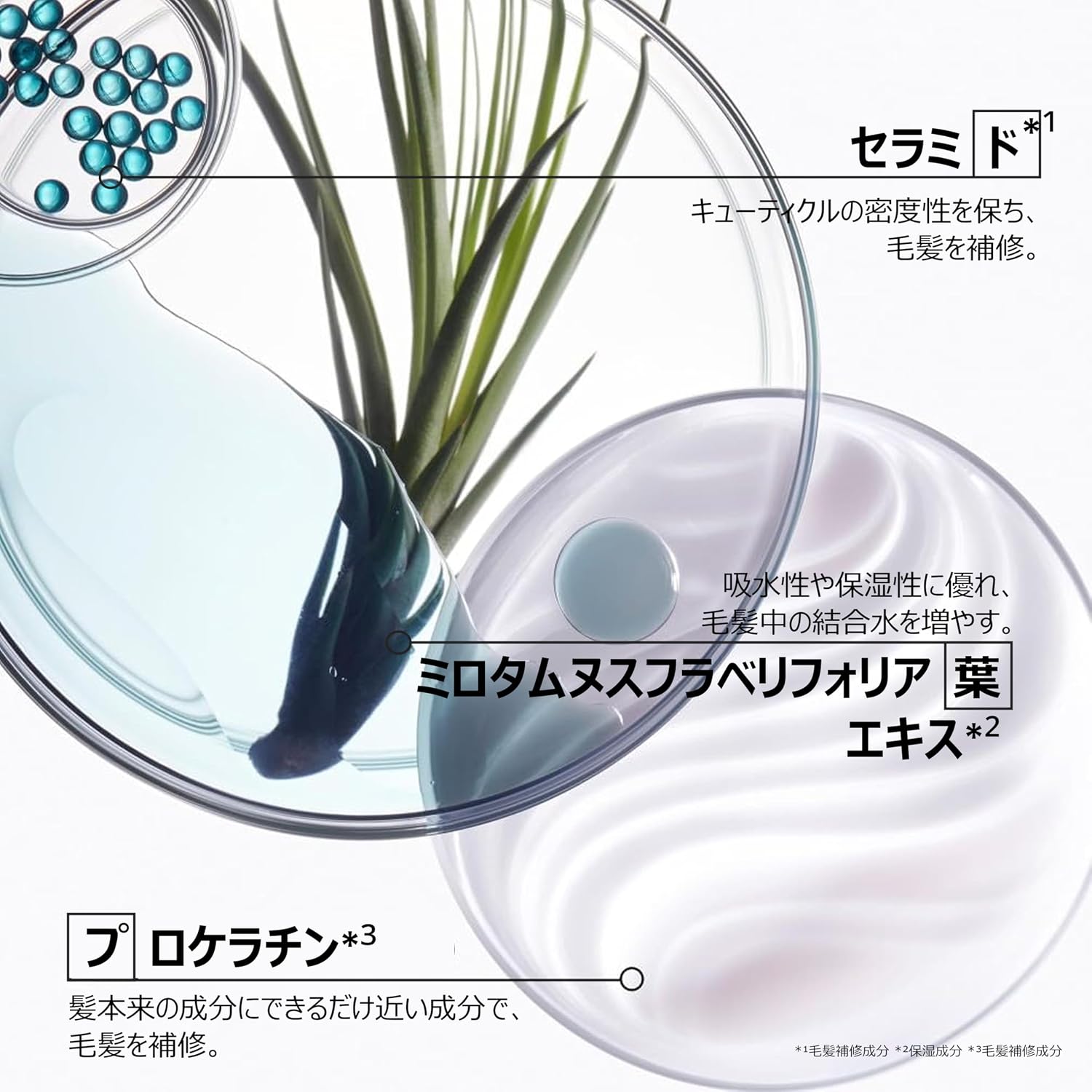 ケラスターゼ シャンプー レジスタンス バン ド フォルス N 500mL 【Nurture】 レフィル
