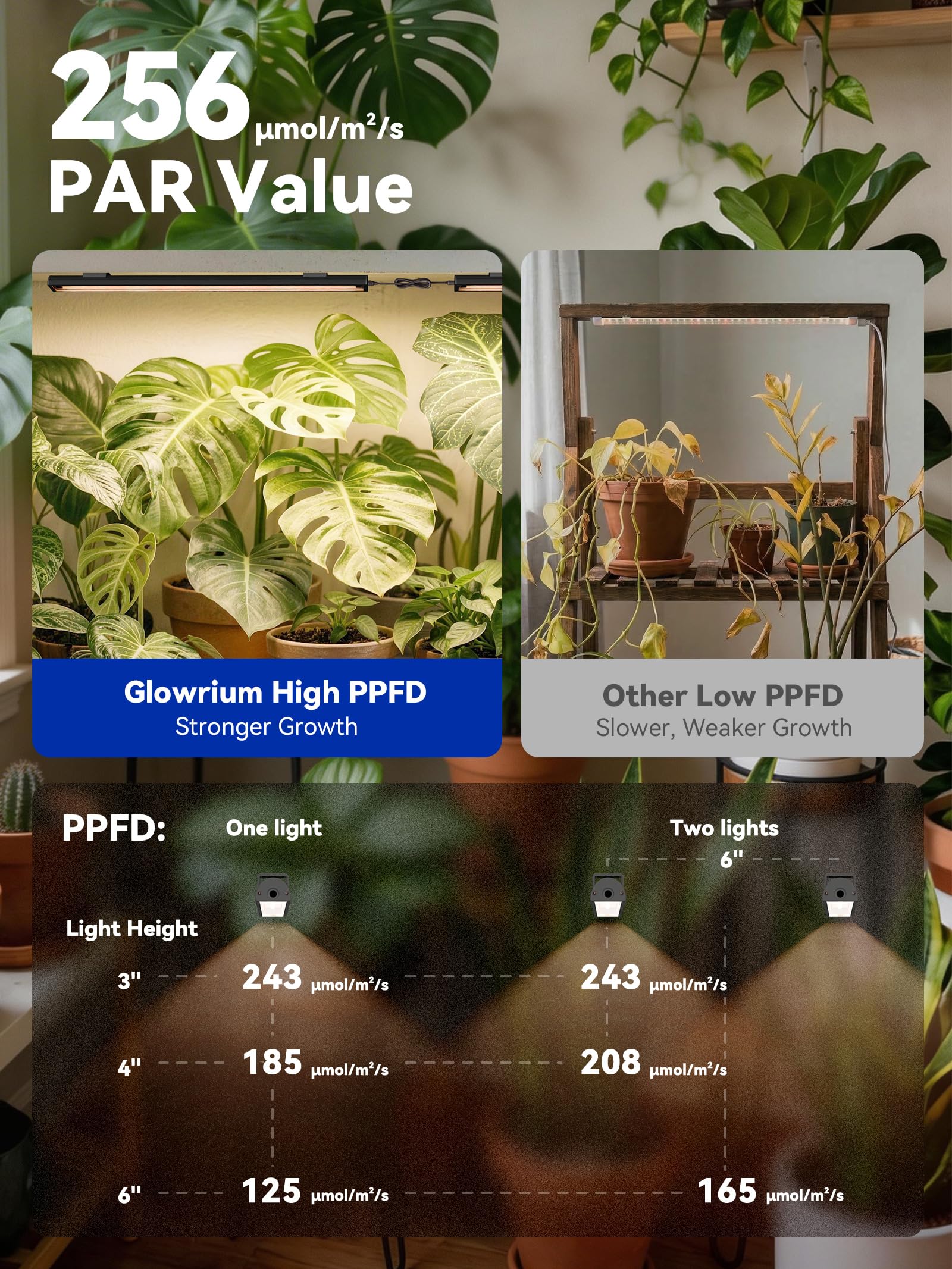 GLOWRIUM Lampes de culture pour plantes d'intérieur, barre lumineuse à DEL | Bandes lumineuses de croissance 48 W avec contrôle par application, minuterie automatique, angles de faisceau réglables pour