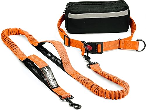 Correa de perro manos libres con cinturón  Bungee sin tirones, asas acolchadas dobles y bolsa con cremallera para correr, caminar y entrenar  Correa