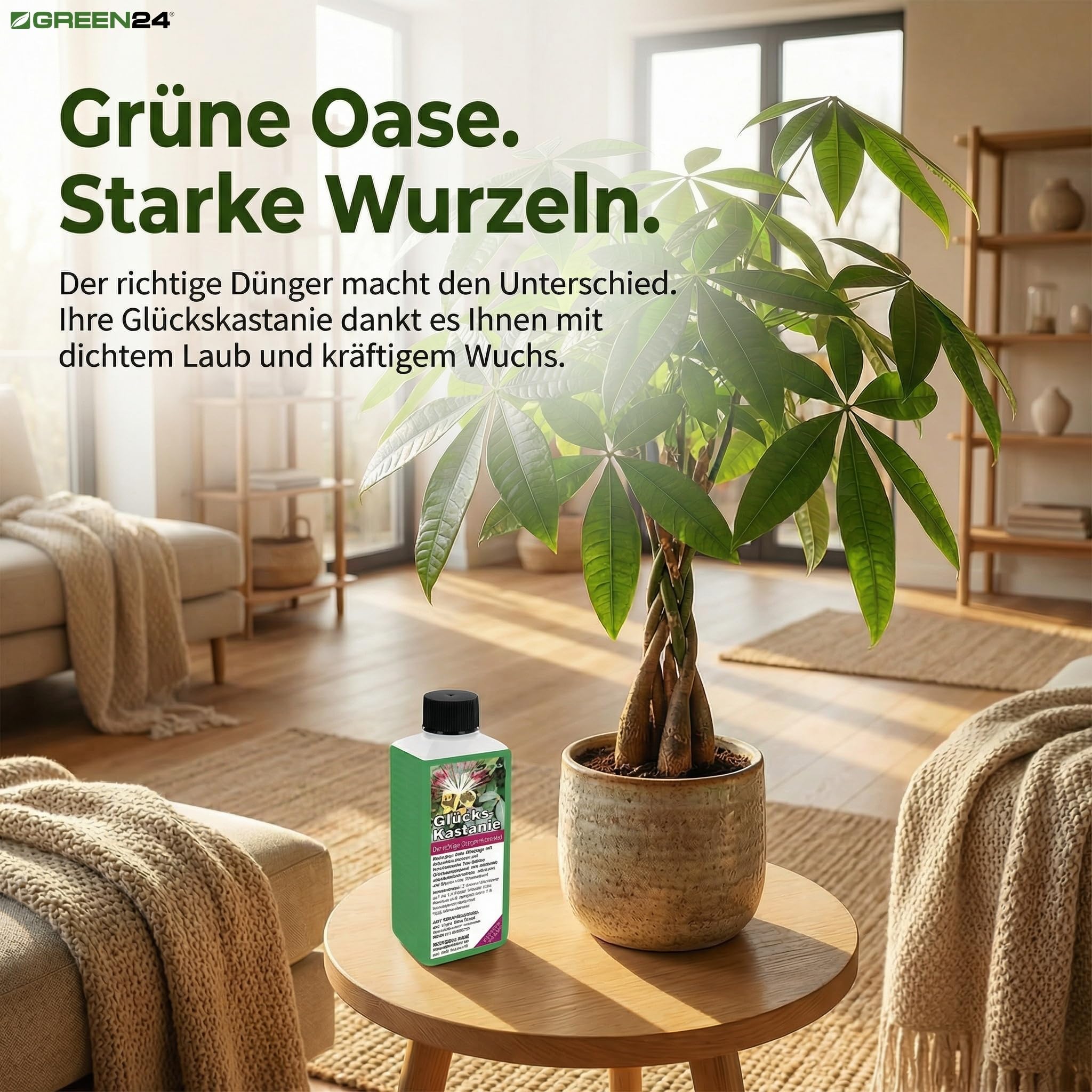 Glckskastanie-Dnger: Pachira aquatica - Effektiver NPK Flssigdnger 250  ml fr gesundes Wachstum : Amazon.de: Garten