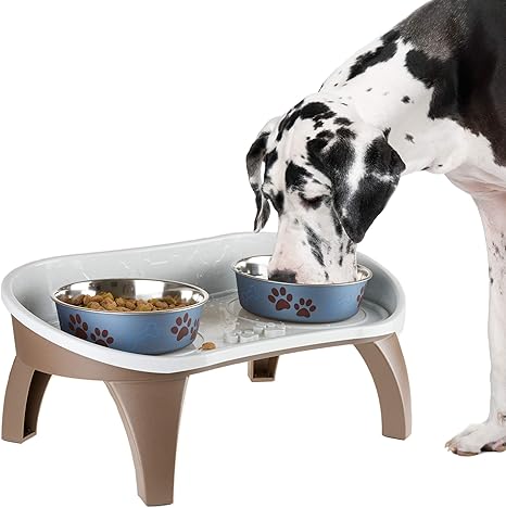 Dog bowl with splash guard Clearance