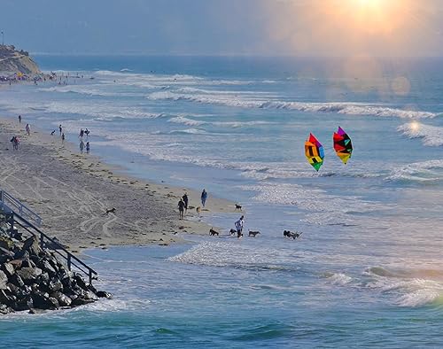 Vista 14 de WindNSun Cometas y caja de cometas 3D Revolution de gran