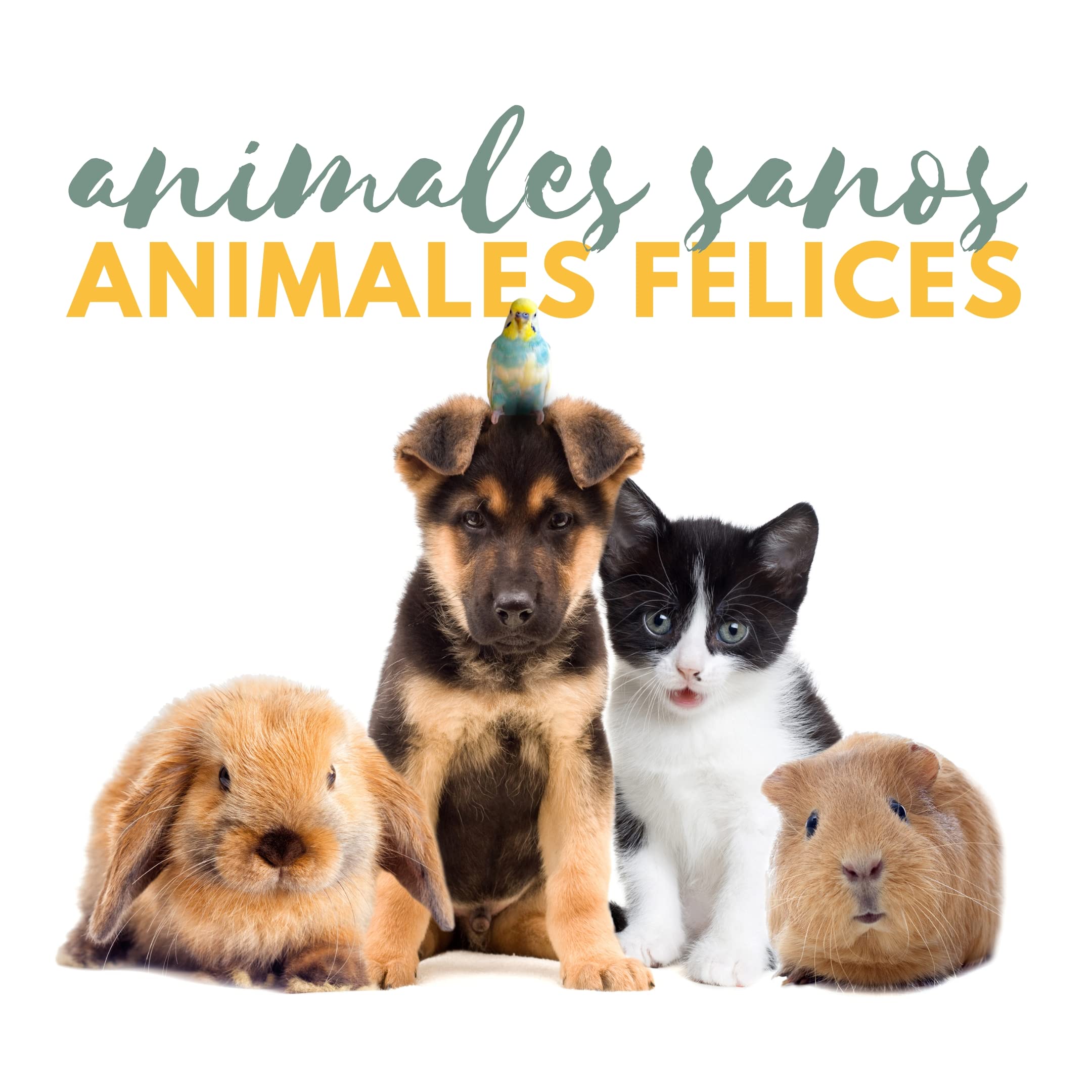 FINCA CASAREJO Unidad de cuidados intensivos para pequeños Animales y criadora de Aves como Loros, Rapaces. Criadora TLC-50 Advance