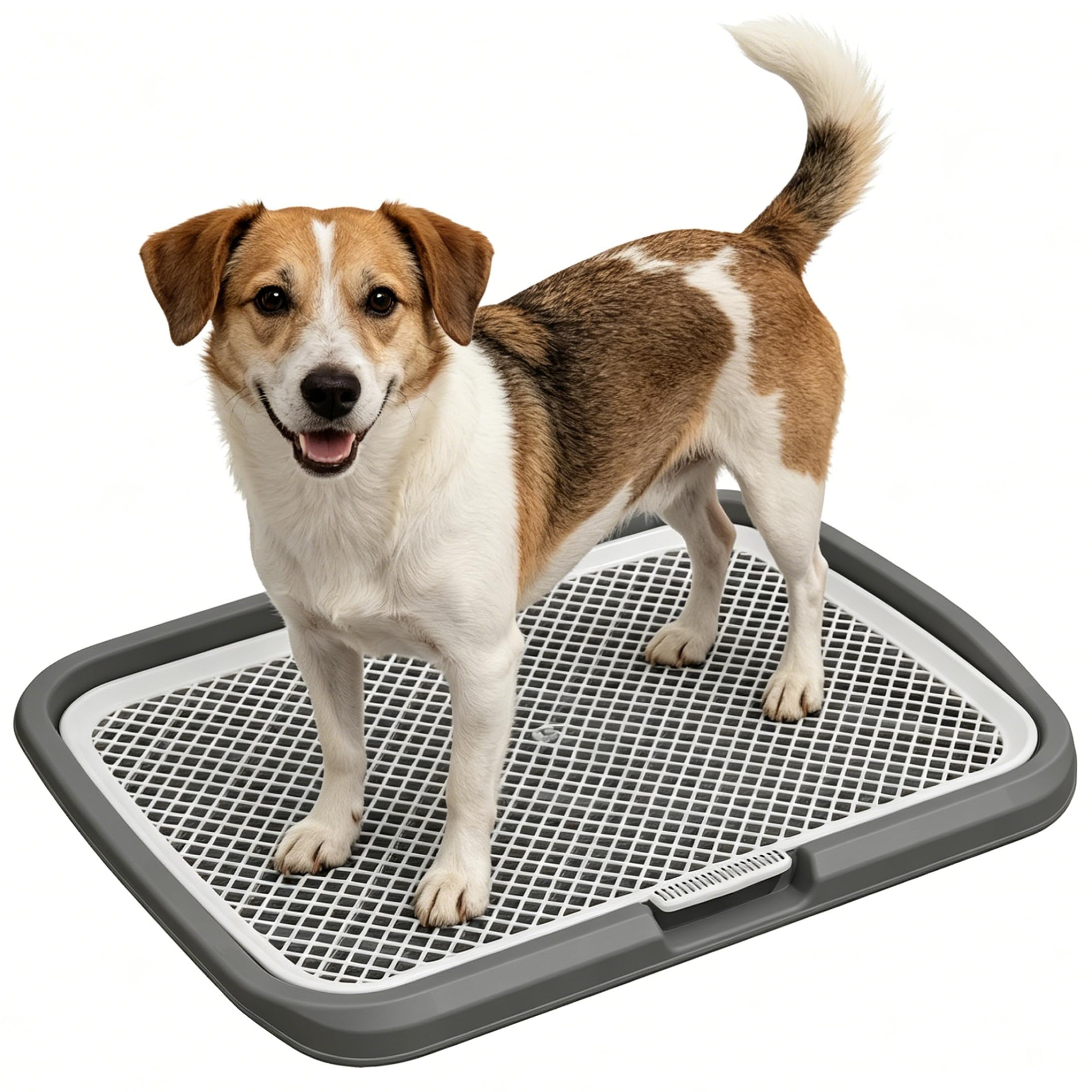 Ameble Spacious Indoor Dog Potty Pee Pad Holder for Small to Medium Dogs, Training Tray, Washable Puppy Toilet, Gray, 18.50x14.57inch