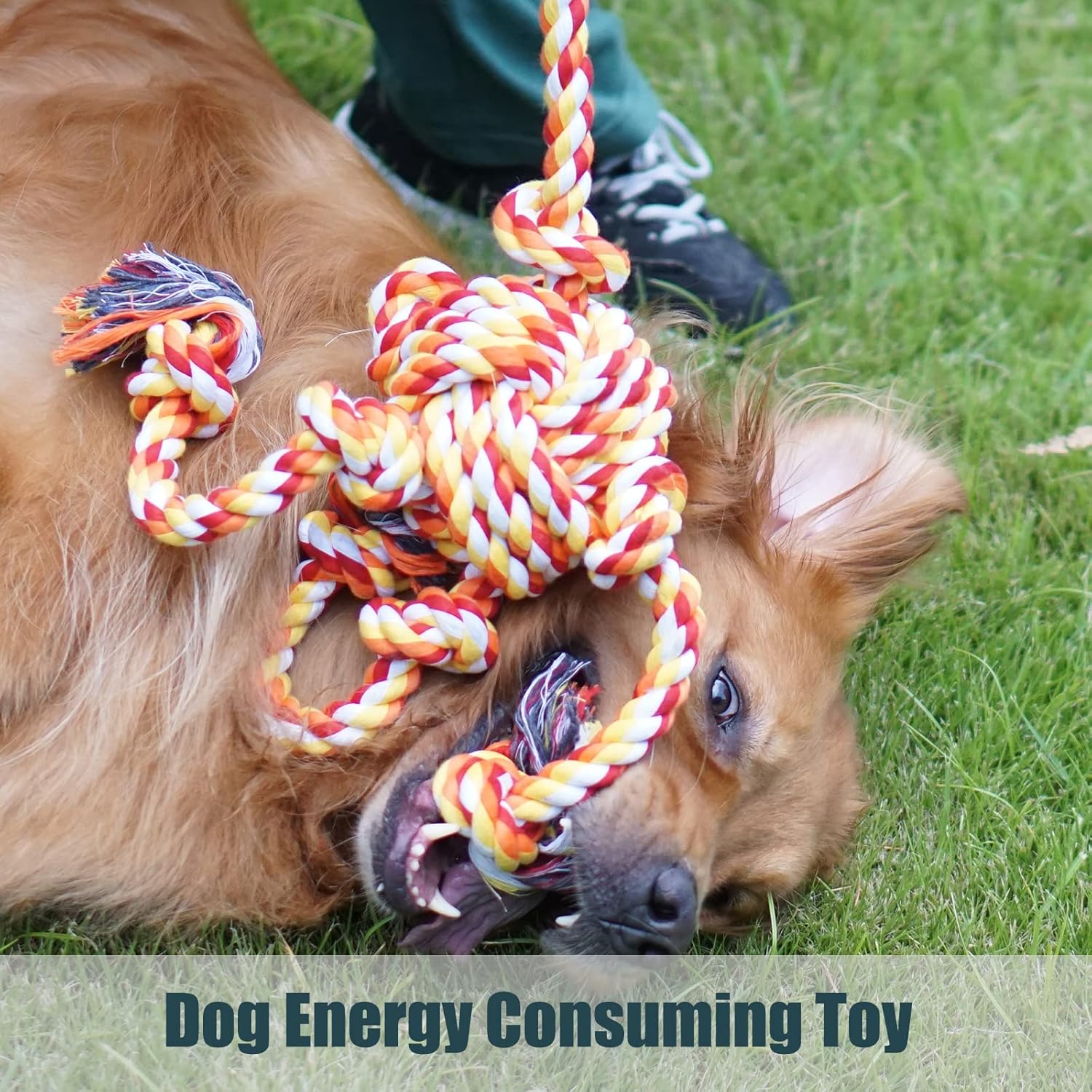Meow&Woof Interactive Rope Toys for Aggressive Chewers - 1.7lbs Indestructible Ropes with 7 Knots for Large Dogs, Tug of War Teeth Cleaning Enrichment for Medium Breeds-Blue
