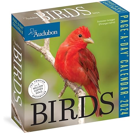 Audubon Birds Page-A-Day Calendar 2024: Stunning Daily Bird Photography