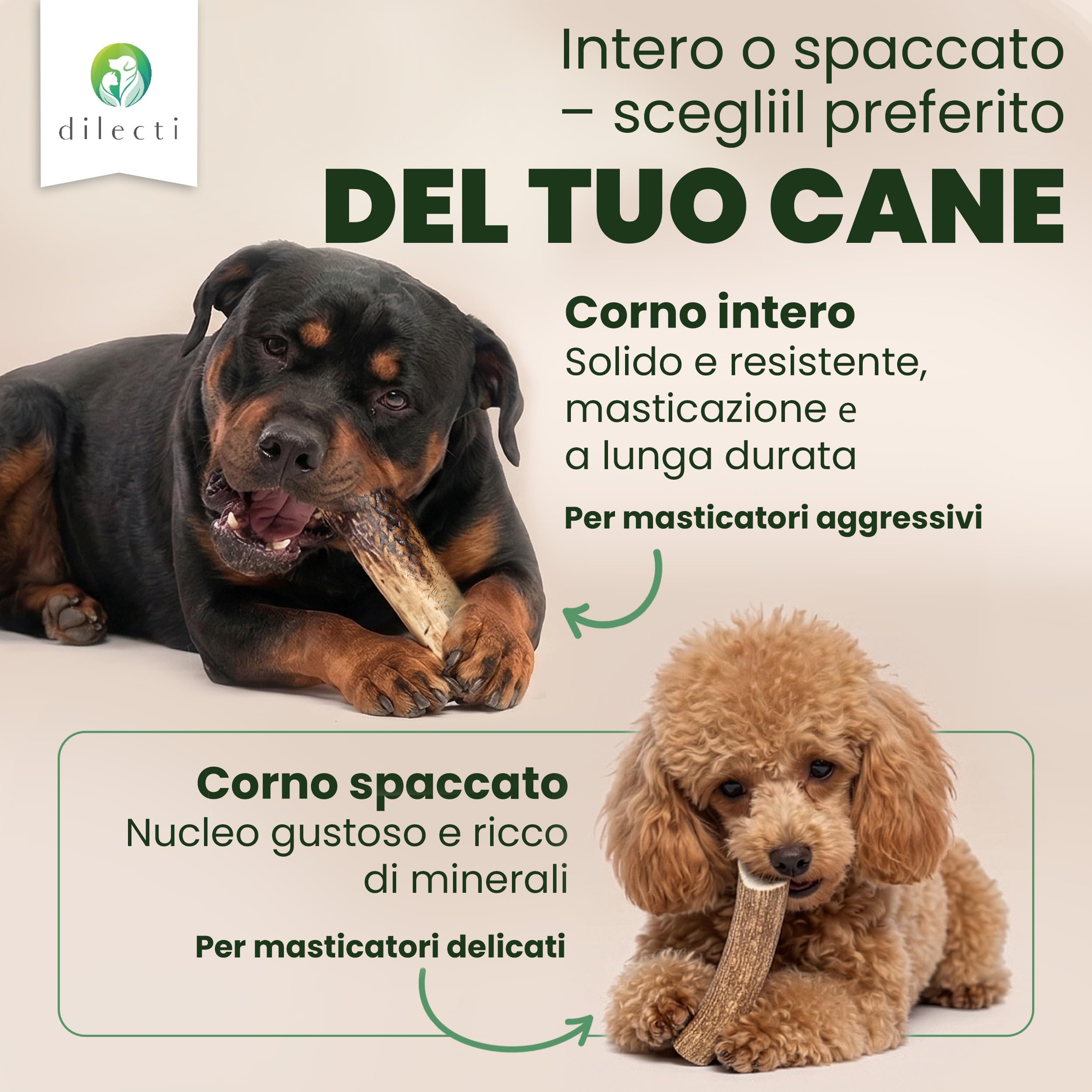Osso di Cervo da Masticare per Cani - Corno di Cervo Naturale, Lunga Durata, Igiene Dentale - Spaccate L (3 Pezzi)