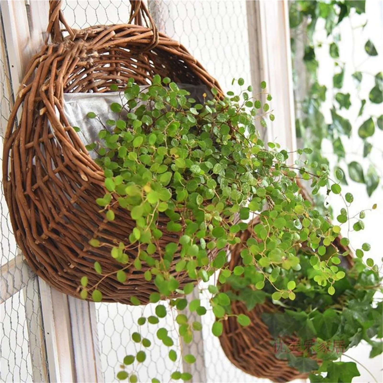 Fioriera Intrecciata 3 pezzi fatti a mano in vimini intrecciato cesto appeso a parete fioriera fiore cesto di vimini cesto in rattan for la decorazione domestica giardino matrimonio Per Fioriera(A-L)