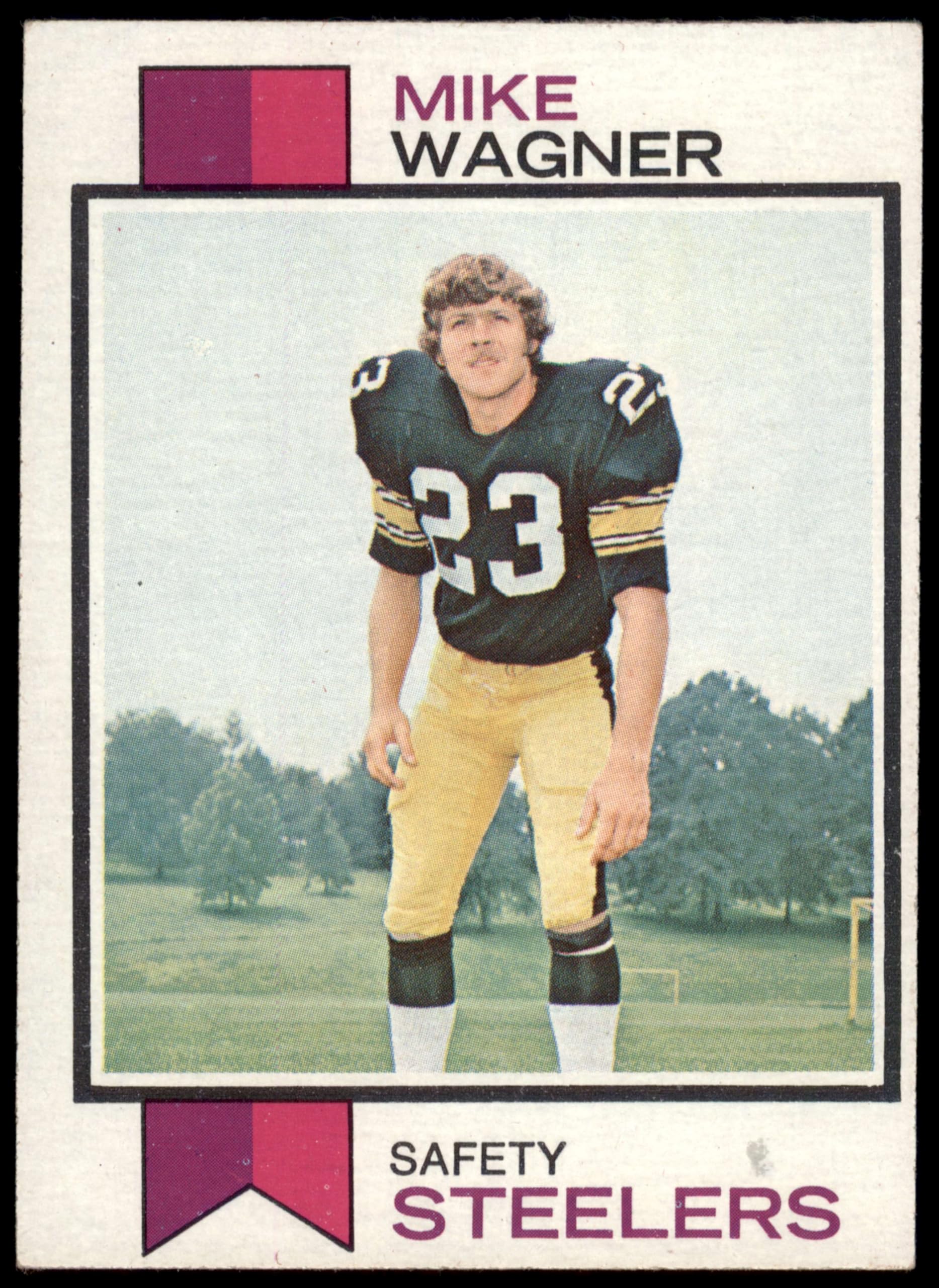 Amazon.com: 1973 Topps # 246 Mike Wagner Pittsburgh Steelers