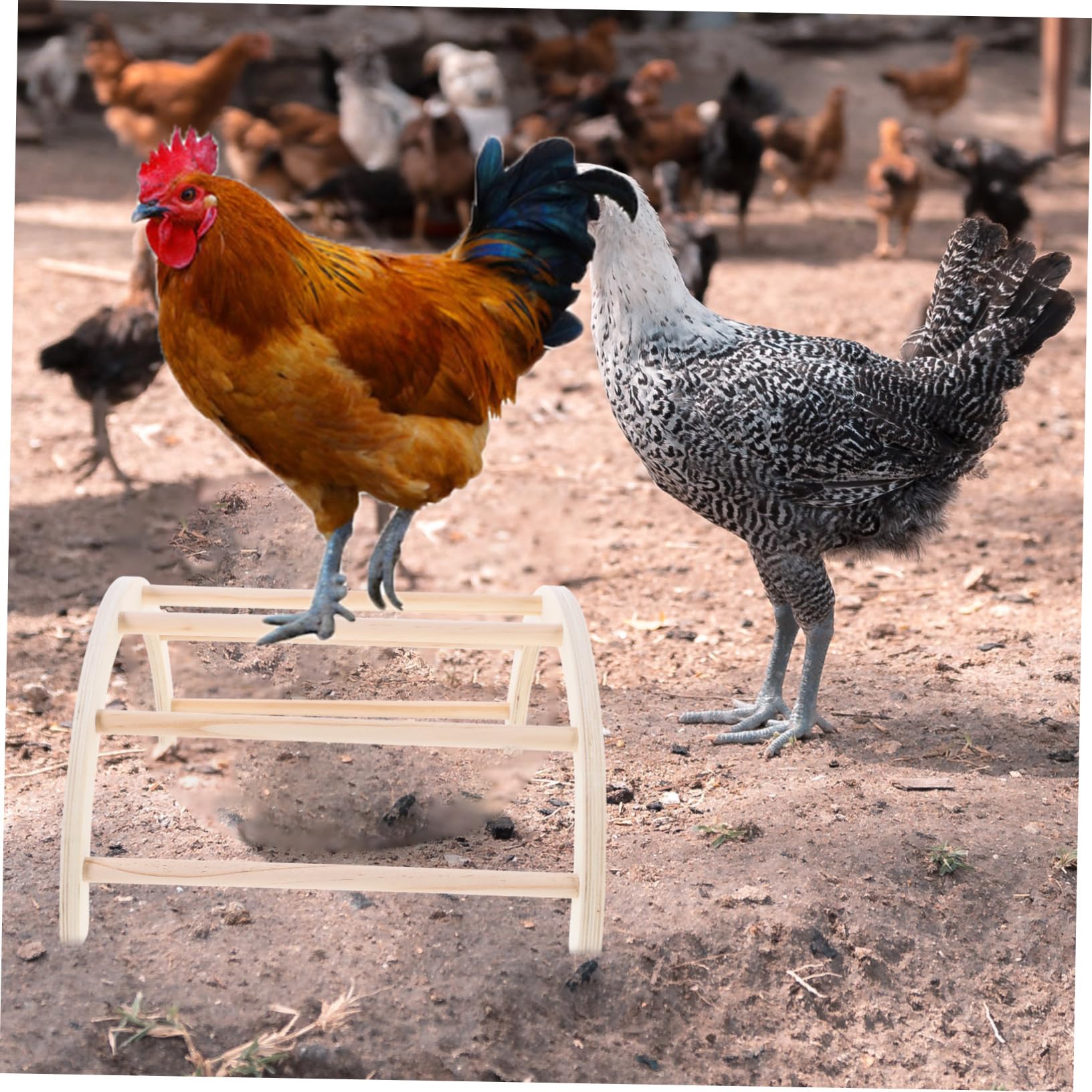 Posatoio in Legno per Galline, Archetto da Addestramento 4 Pezzi Beige