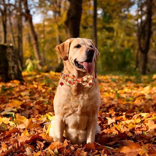 Miniatura 3 de ADOGGYGO Collar de perro de otoño con lazo, collares ajustables para perro de Acción de Gracias con pajarita extraíble y hojas de otoño, collares de