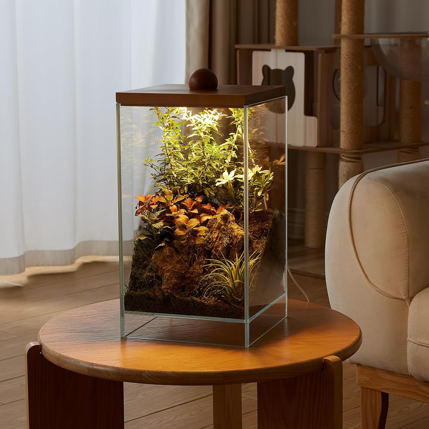 13.7H+7.8W Desktop Glass Plant Terrarium with Grow Light, Large Propagation Station for Succulent, Moss, Miniature Gardening Landscape, Betta Fish Tank