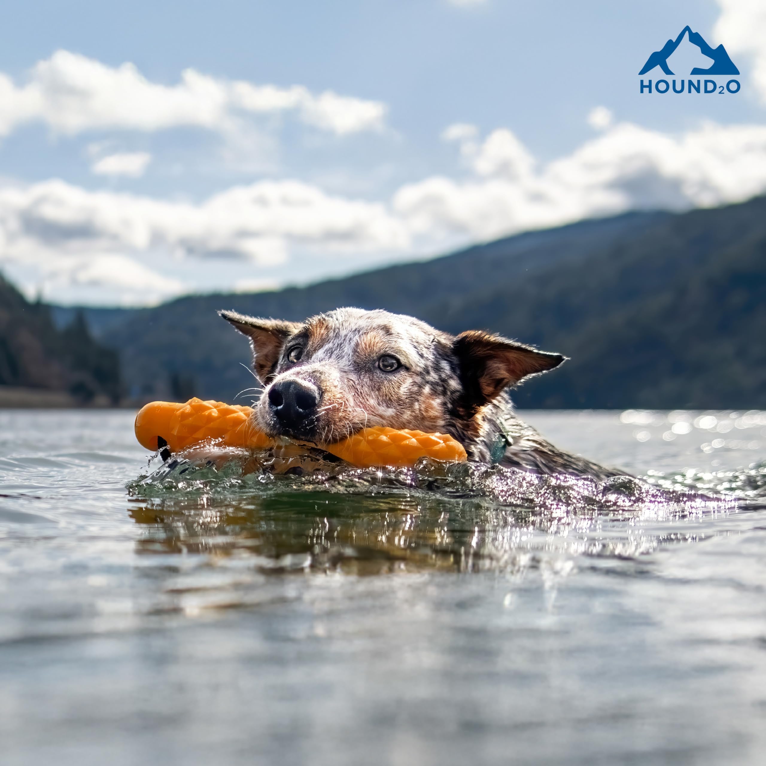 Giocattoli per cani Giocattolo galleggiante in corda per cani | Giocattolo da esterno arancione - Facile da pulire e realizzato con materiali atossici