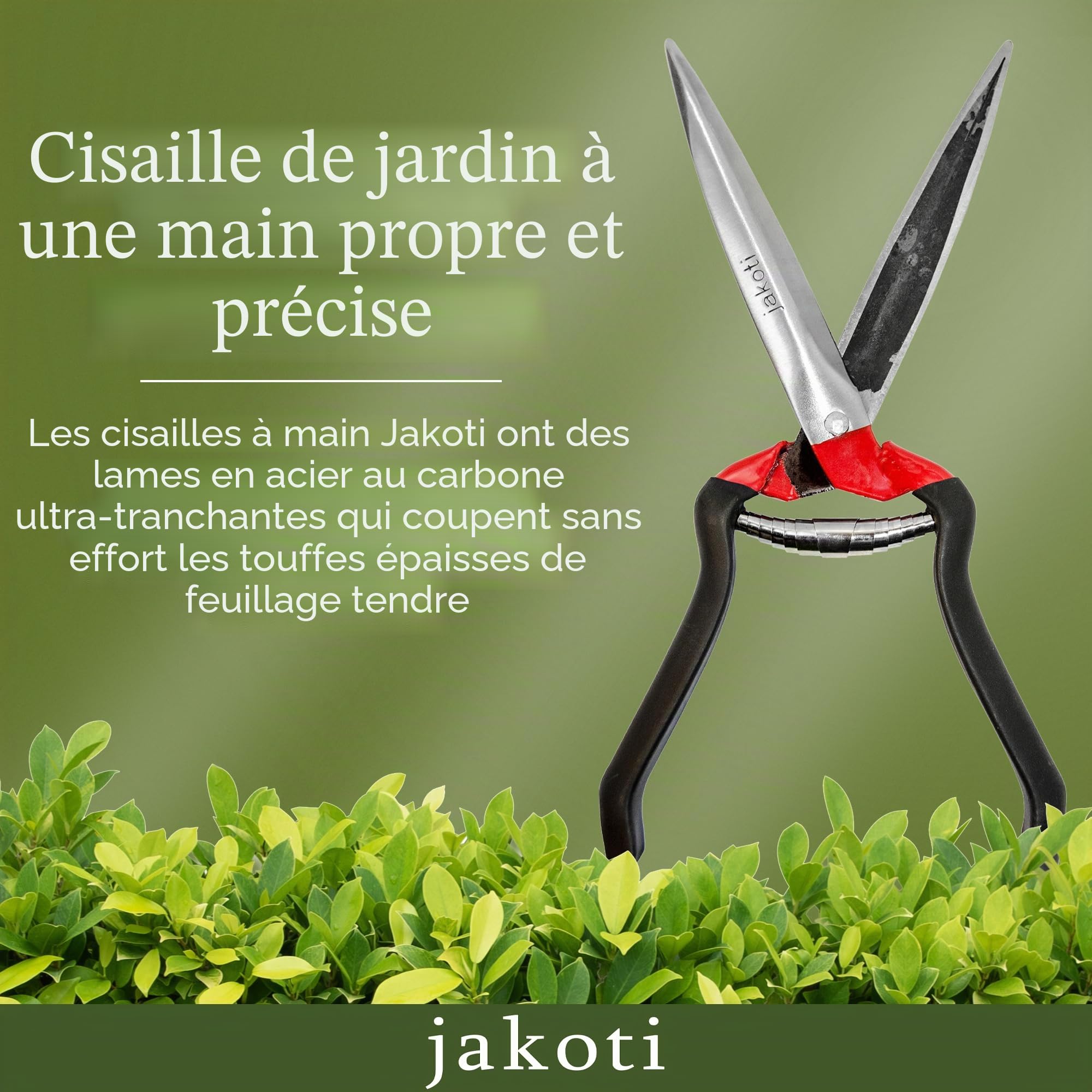 Cisaille à main jakoti pour jardinage ou mouton tonte