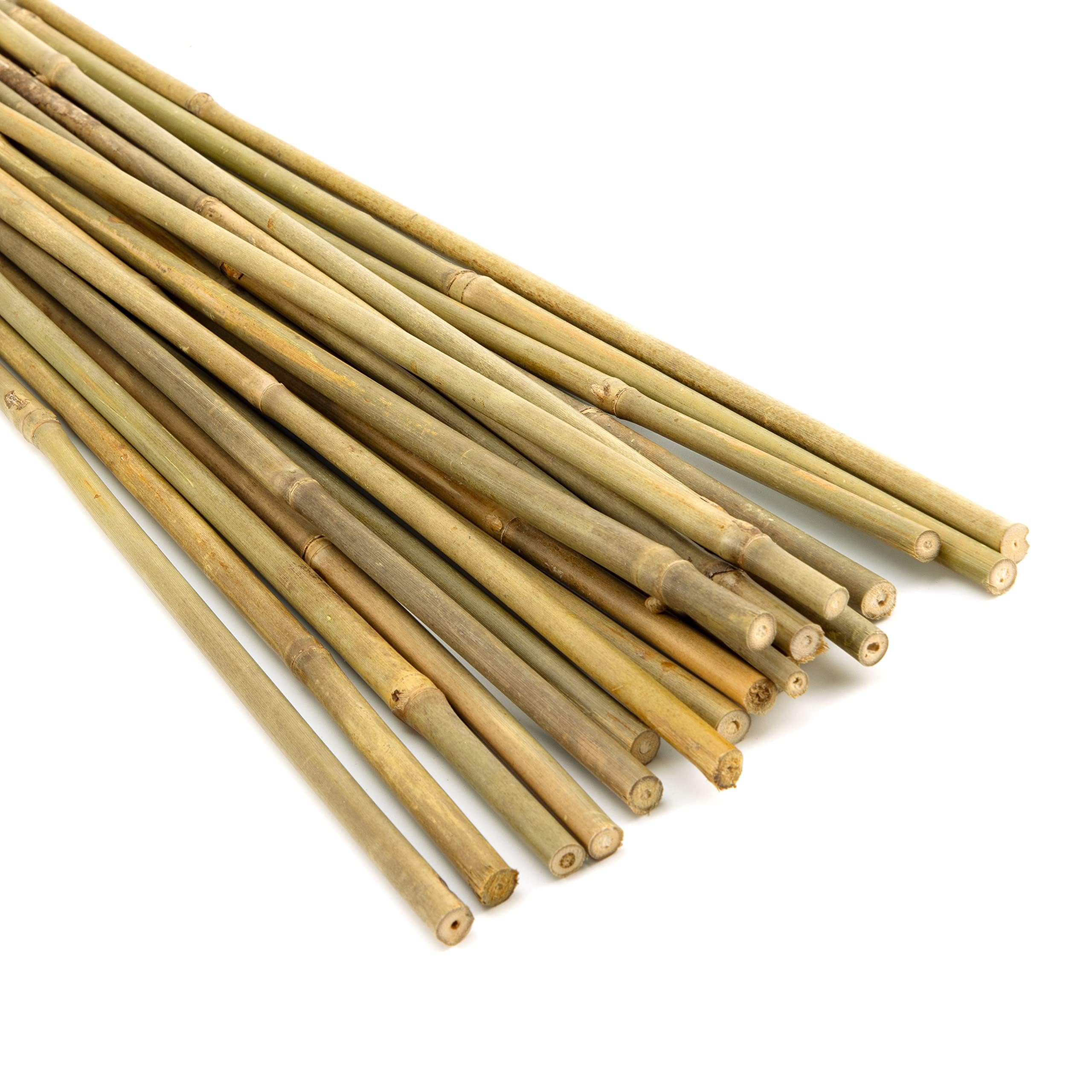 Azonee 20 Pieces 18 inch Bamboo Stakes, Natural Bamboo Garden Stakes, Natural Plant Stakes for Indoor and Outdoor Plants, Plant Support Stakes for Tomato Support, Beans, Potted Plants, Mini Trees