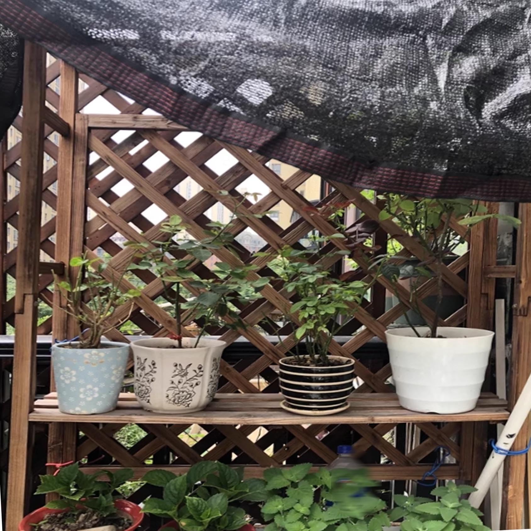 UV-beständiges Gewächshausnetz für Gemüse & Sukkulenten – 80% Sonnenschutznetz mit Wärmeregulierung, 5 m schwarz – ideal für Gartenarbeit und Pflanzenpflege im Freien