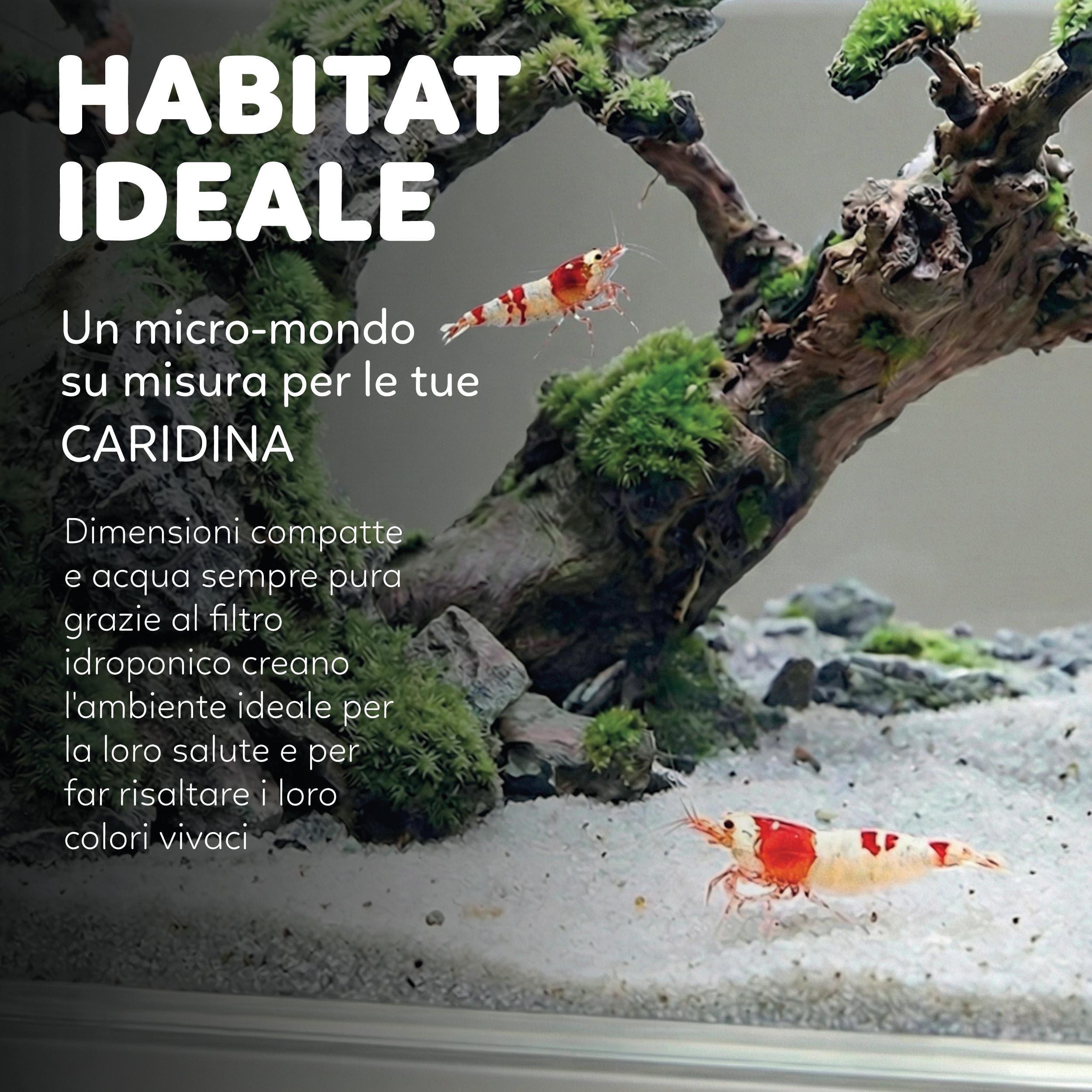 AQPET HYDO Acquario da Scrivania Multifunzionale in Acrilico con Dock Station per Smartphone – Mini Acquario con Pompa e Filtro, LED 5 Modalità e Modulo Idroponico, Ideale per Betta e Caridine