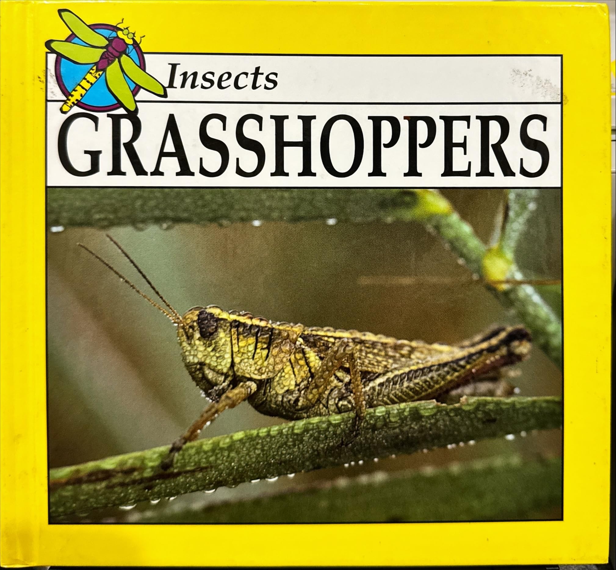 Grasshoppers Rowan, James P.
