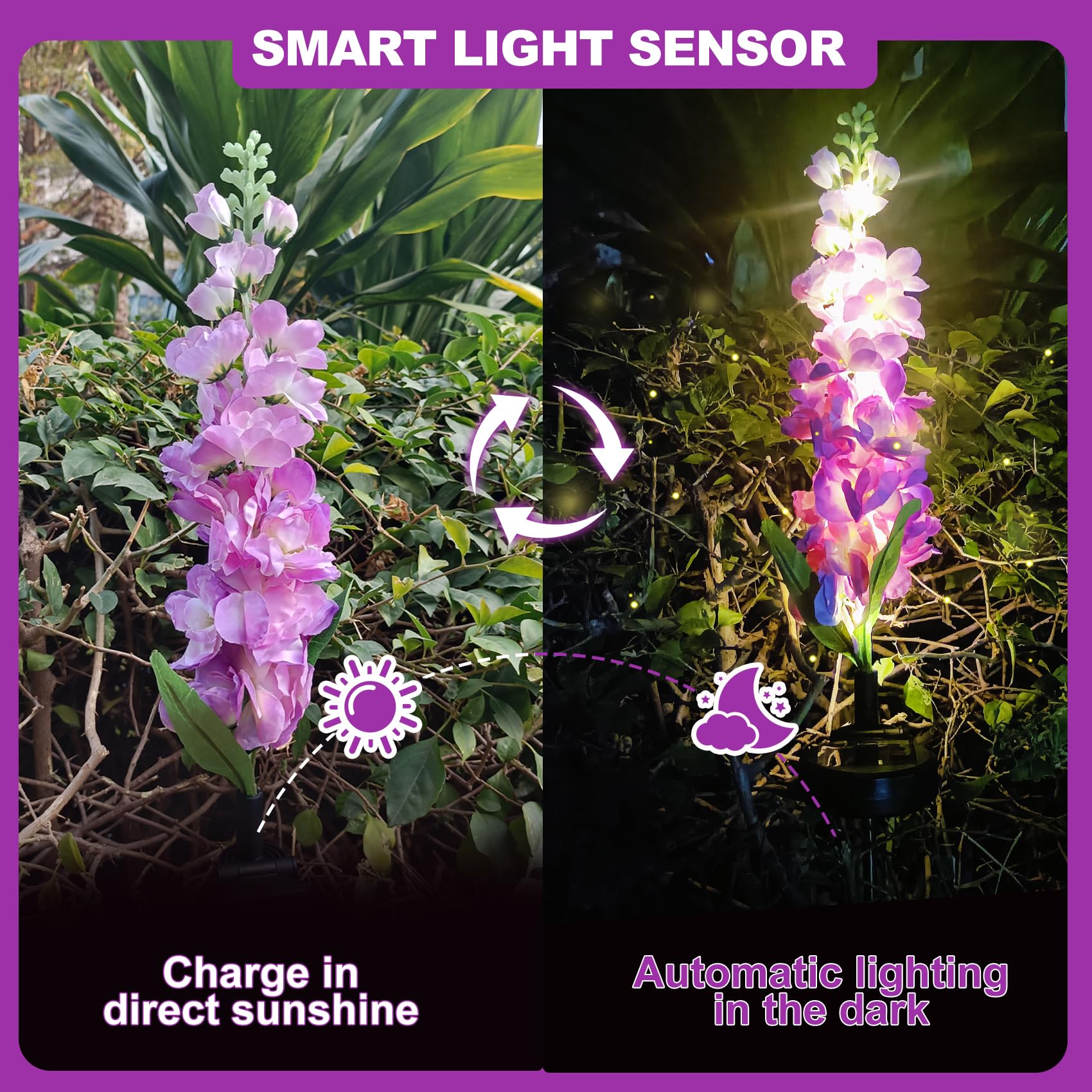 Solar Lights Outdoor - Image 3